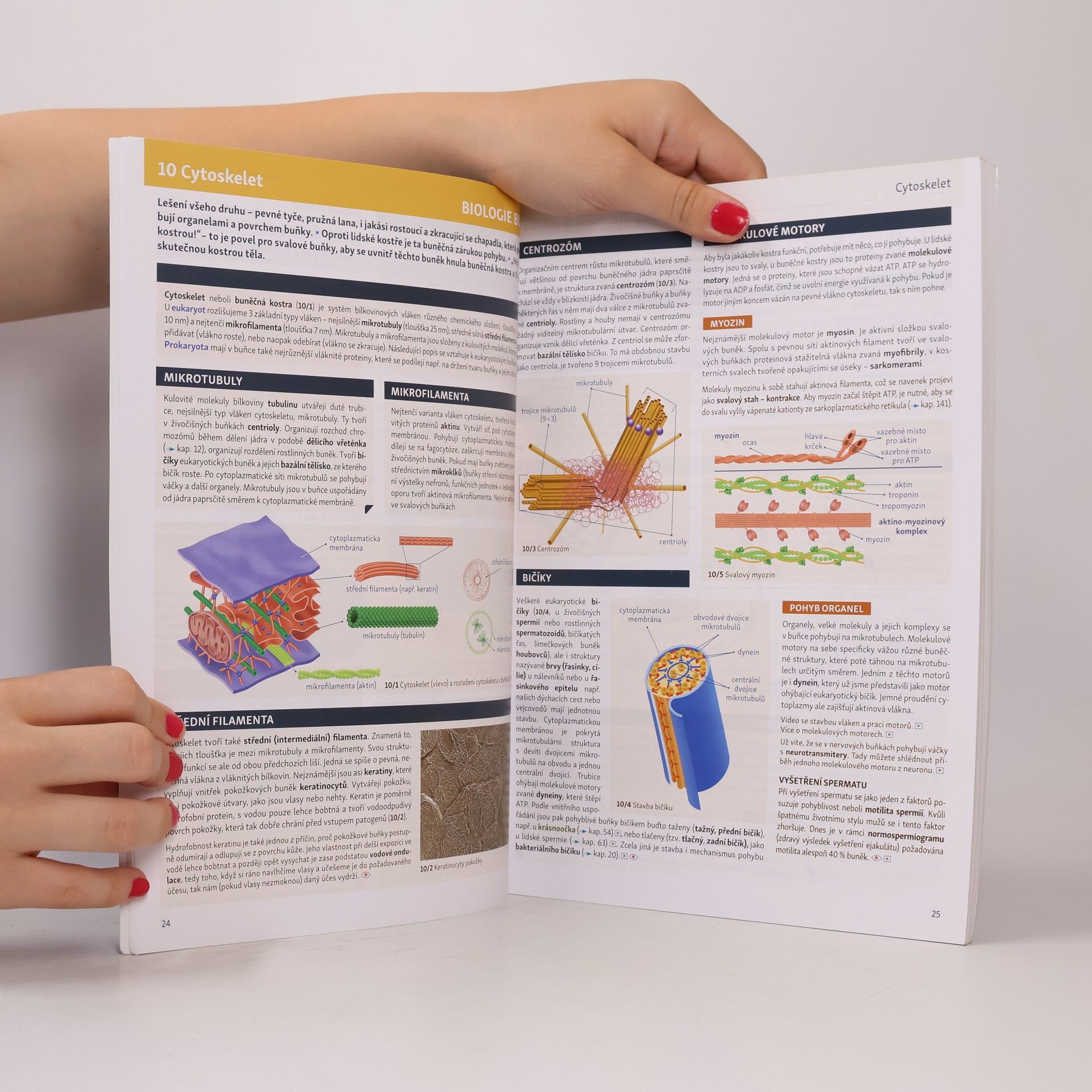 Eduko Biologie v souvislostech 1