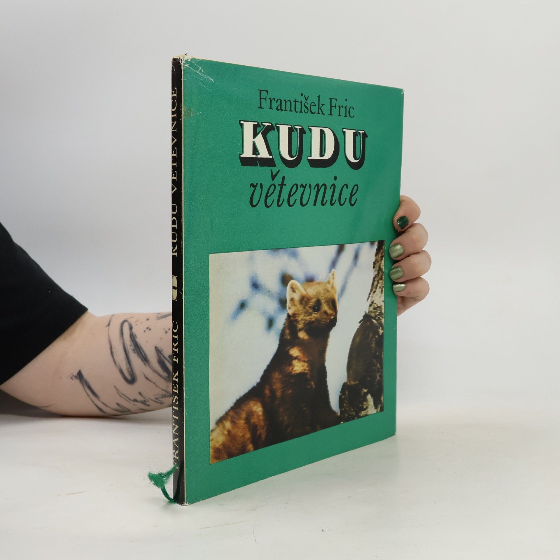 Kudu větevnice