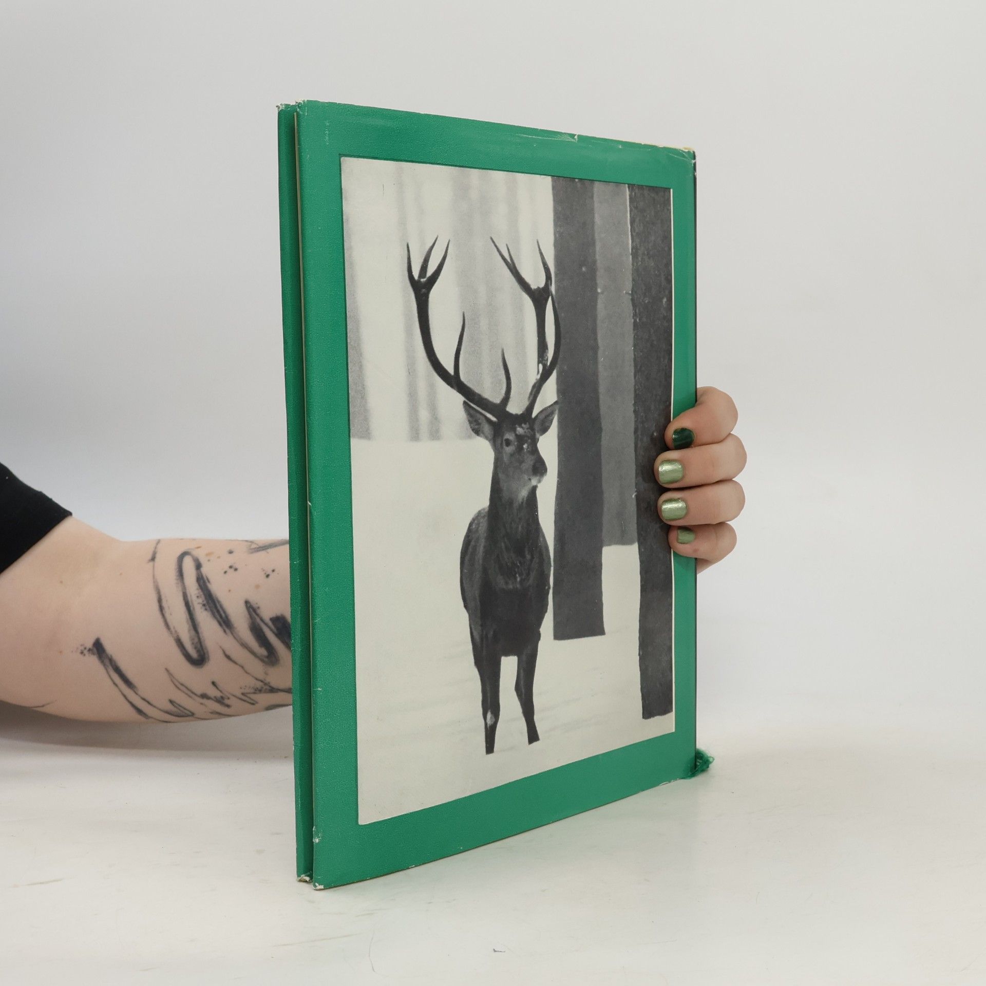 František Fric Kudu větevnice