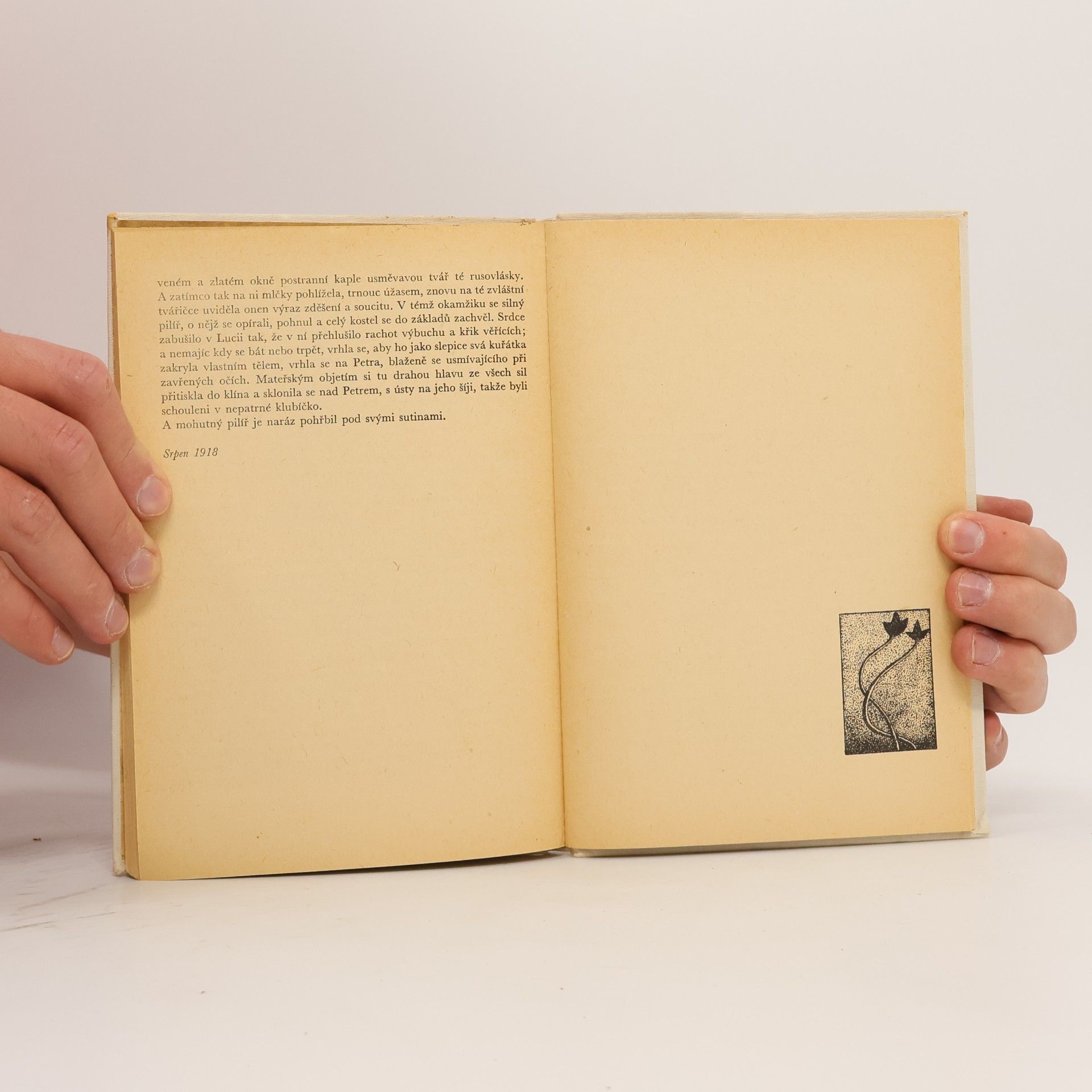 Romain Rolland Petr a Lucie