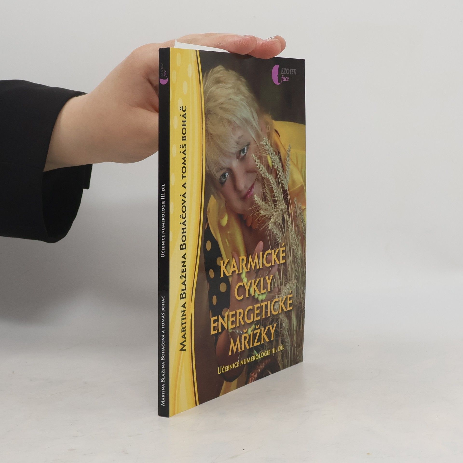 Martina Blažena Boháčová Učebnice numerologie. 3. díl, Karmické cykly energetické mřížky