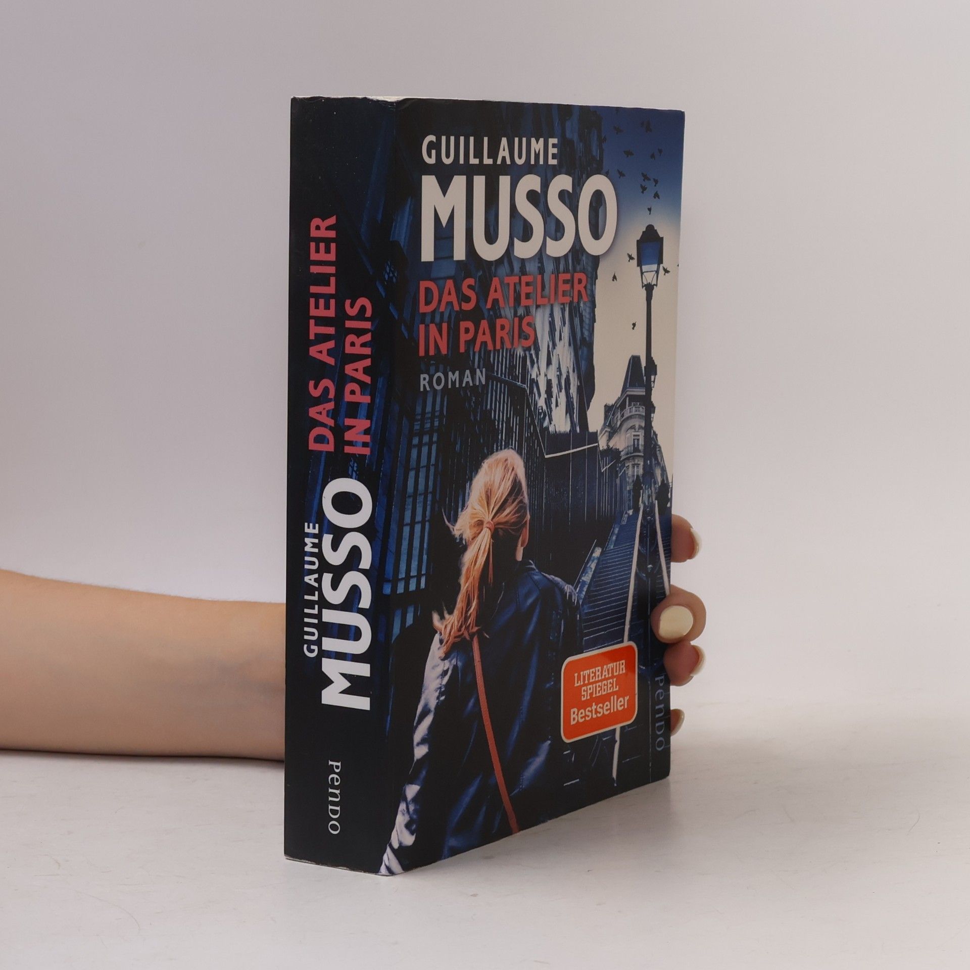 Guillaume Musso Das Atelier in Paris