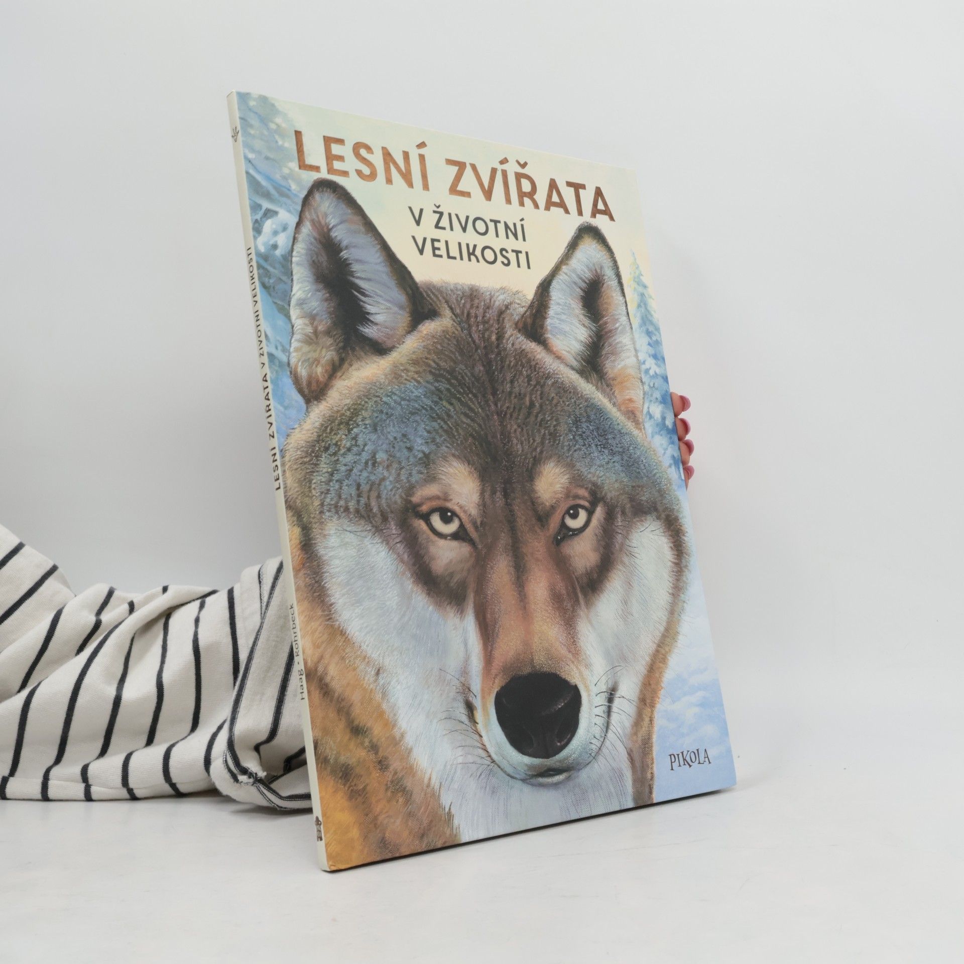 Lesní zvířata v životní velikosti