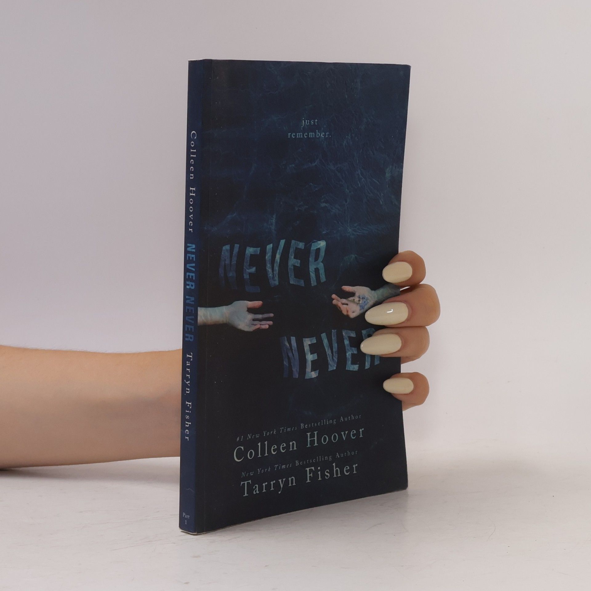 Colleen Hoover Never Never