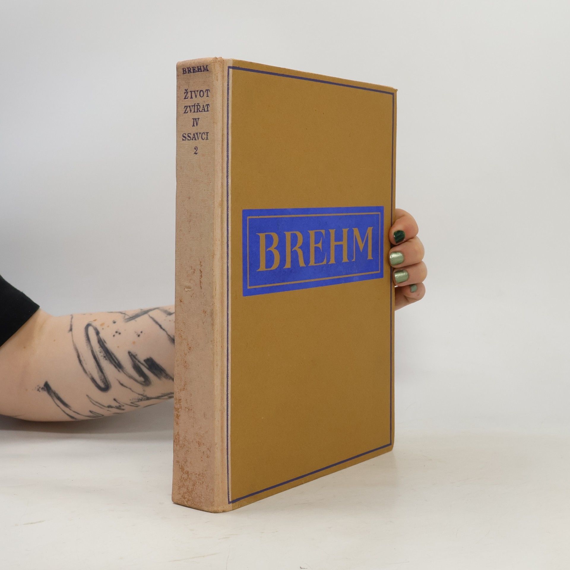 Alfred Edmund Brehm Brehmův život zvířat, díl IV - Ssavci II