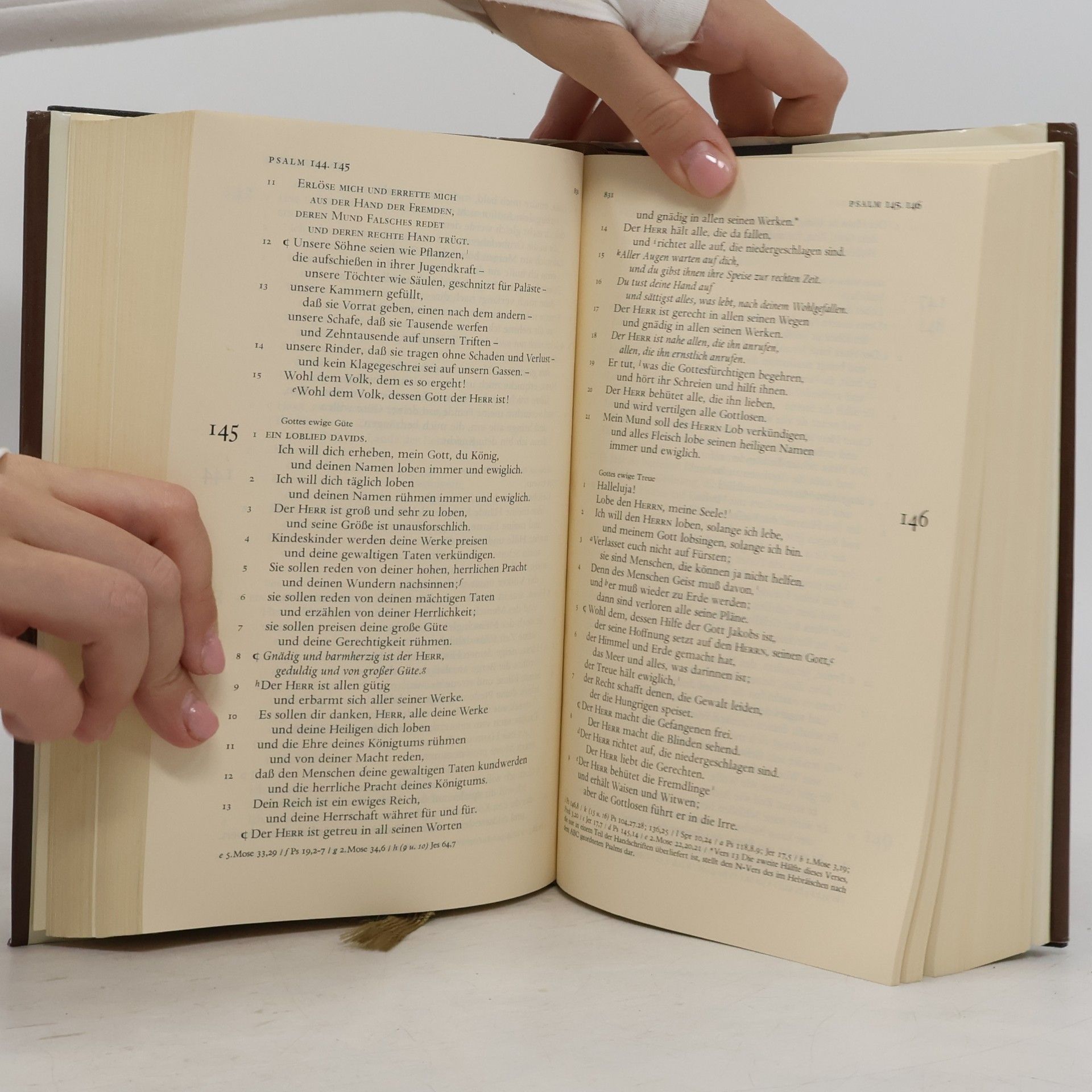 Martin Luther Die Bibel oder die Ganze Heilige Schrift des Alten und neuen Testaments