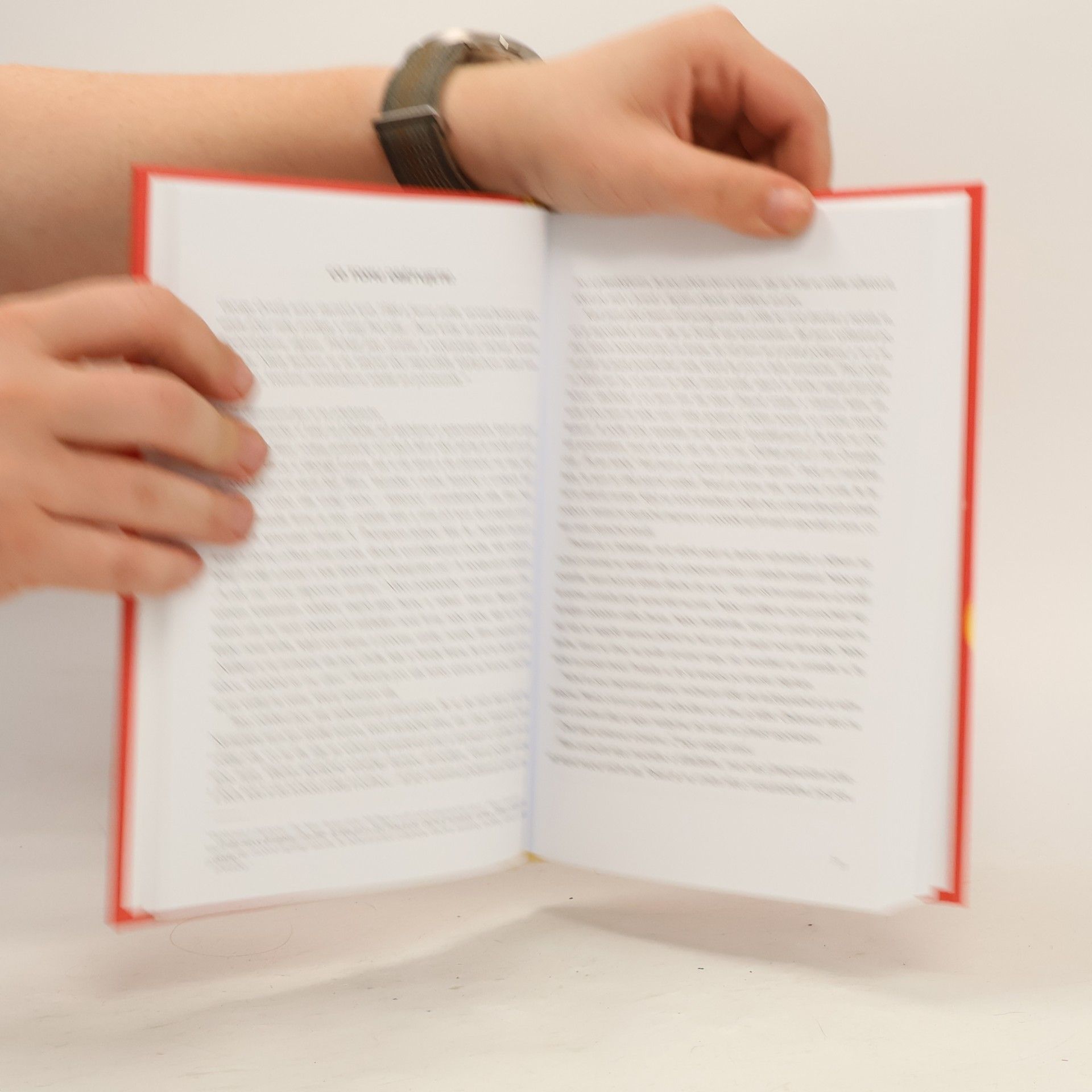 Ryan Holiday Nadčasový produkt