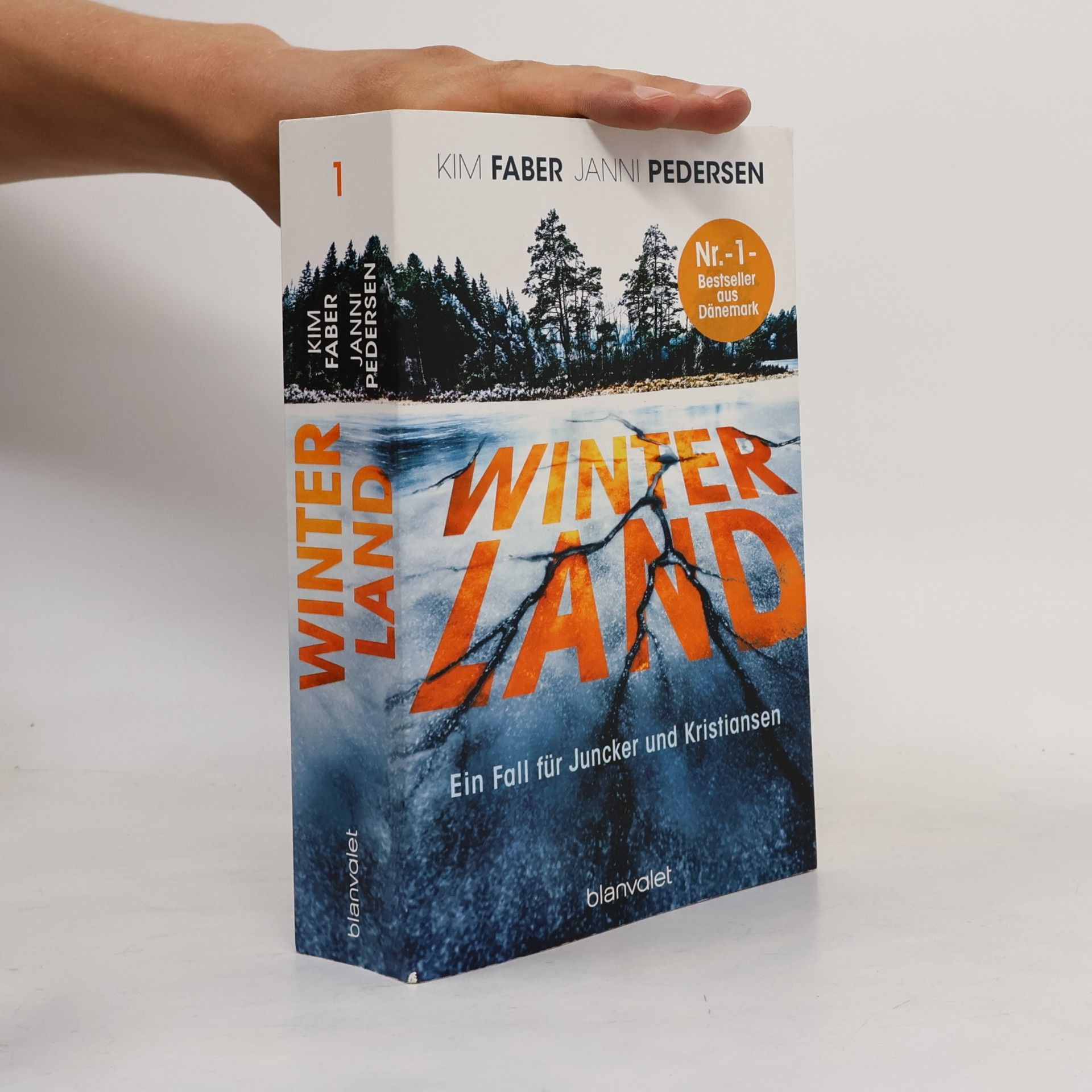 Kim Faber Winterland