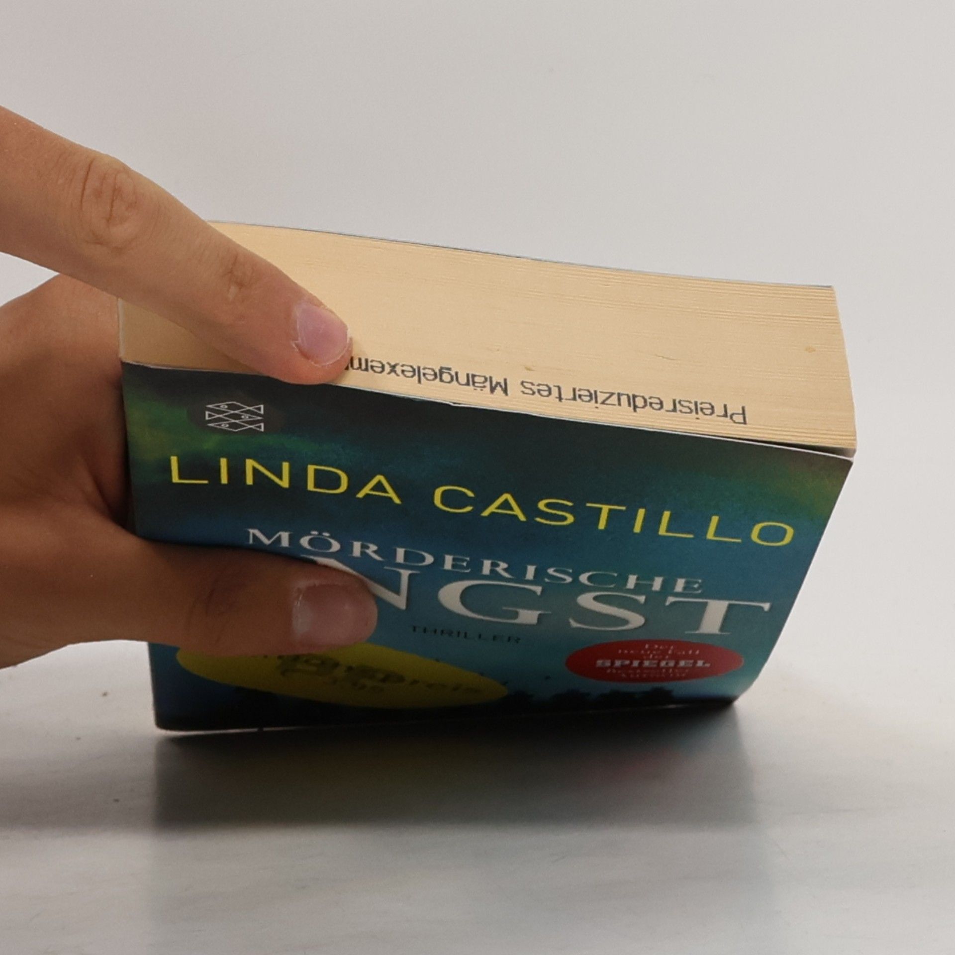 Linda Castillo Mörderische Angst