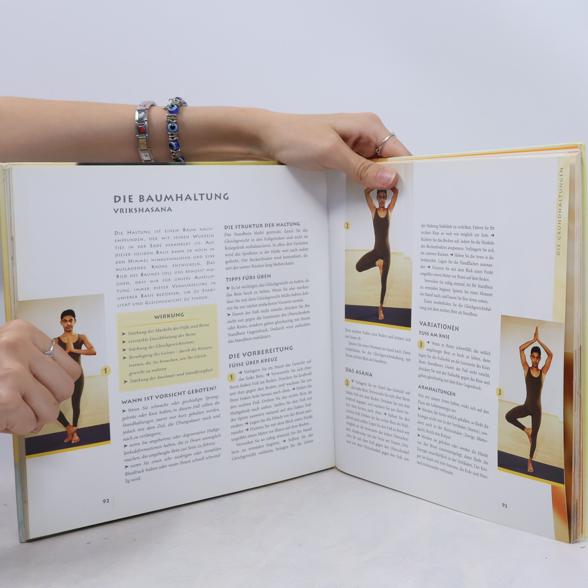 Anna Trökes Das grosse Yogabuch
