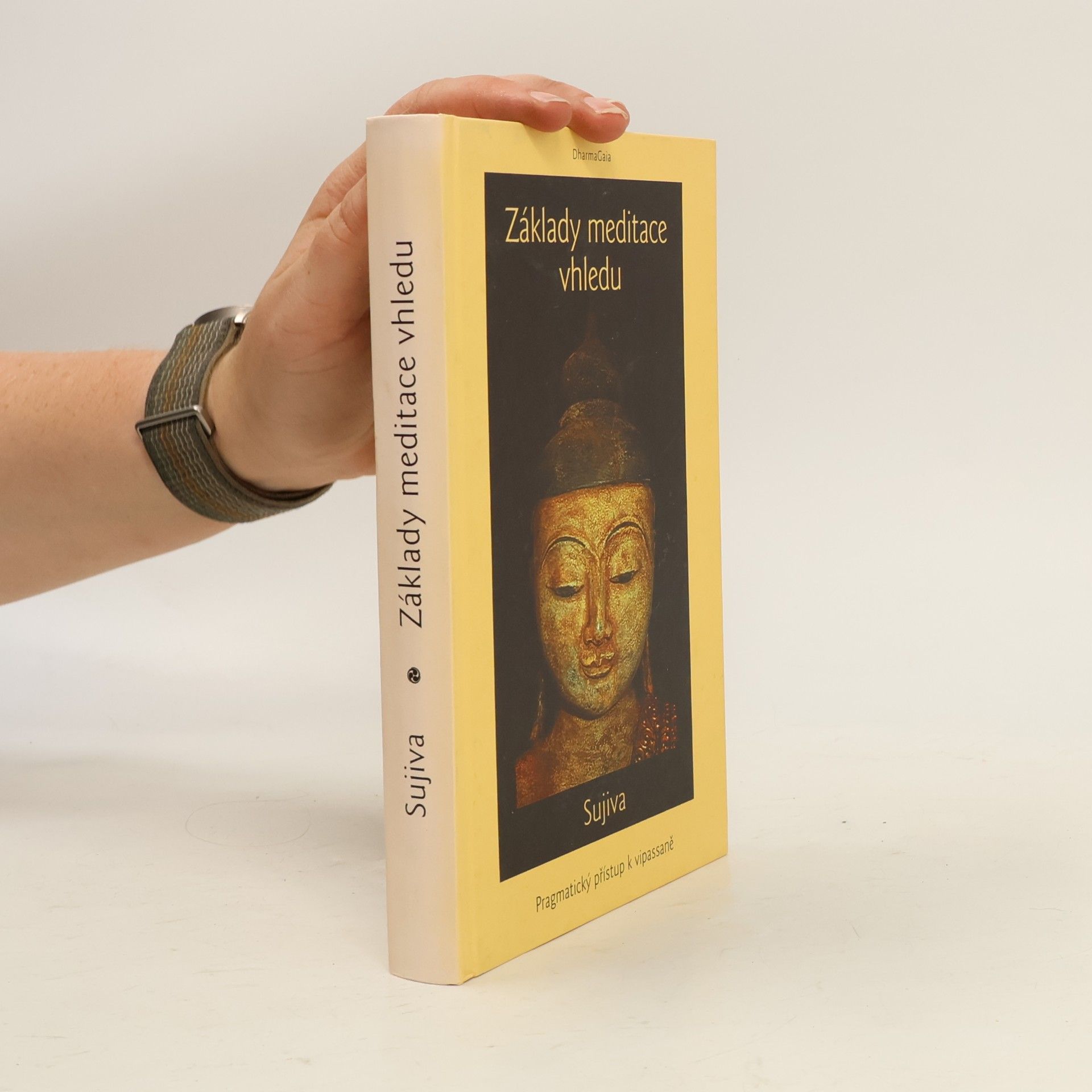Sujiva Základy meditace vhledu : pragmatický přístup k vipassaně