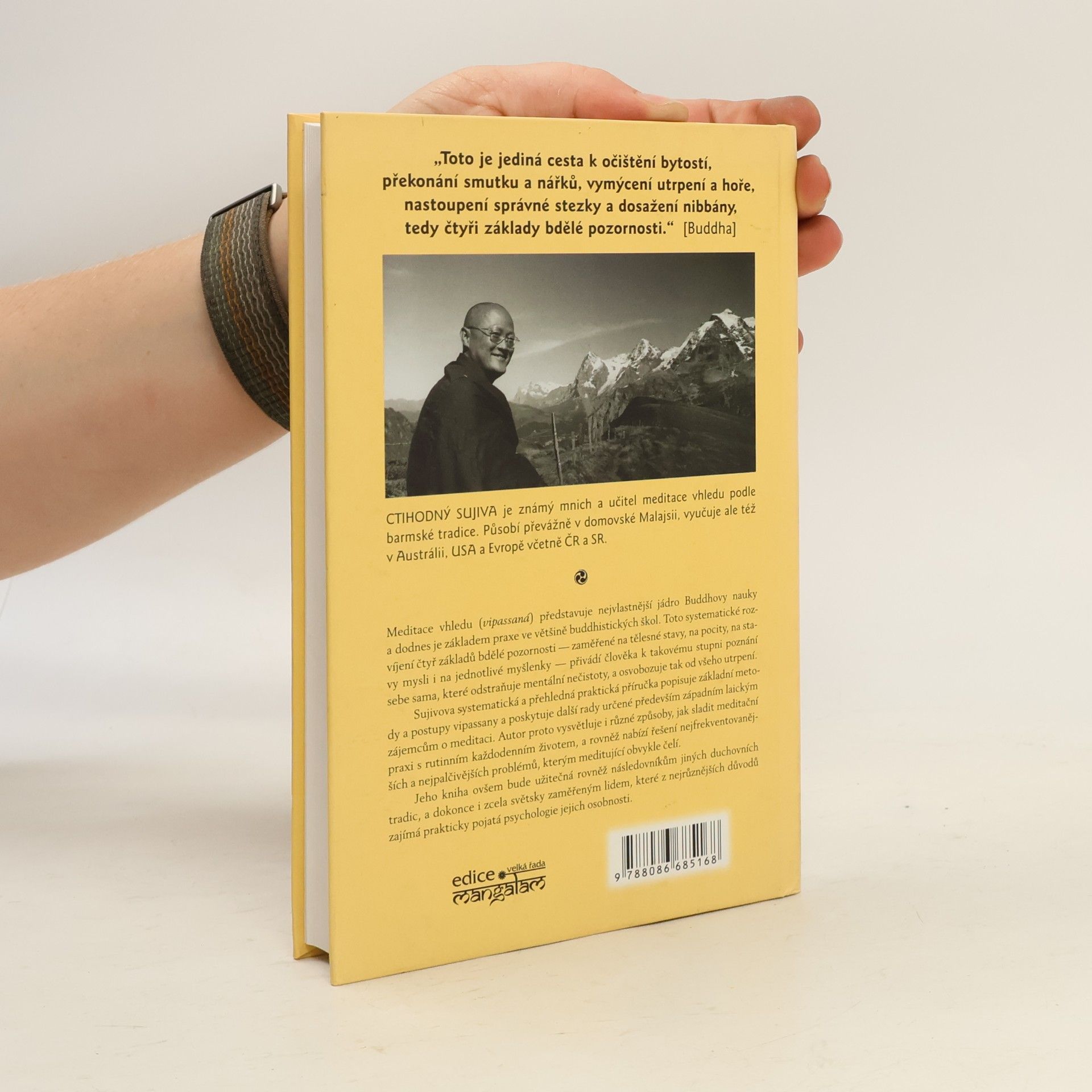 Sujiva Základy meditace vhledu : pragmatický přístup k vipassaně