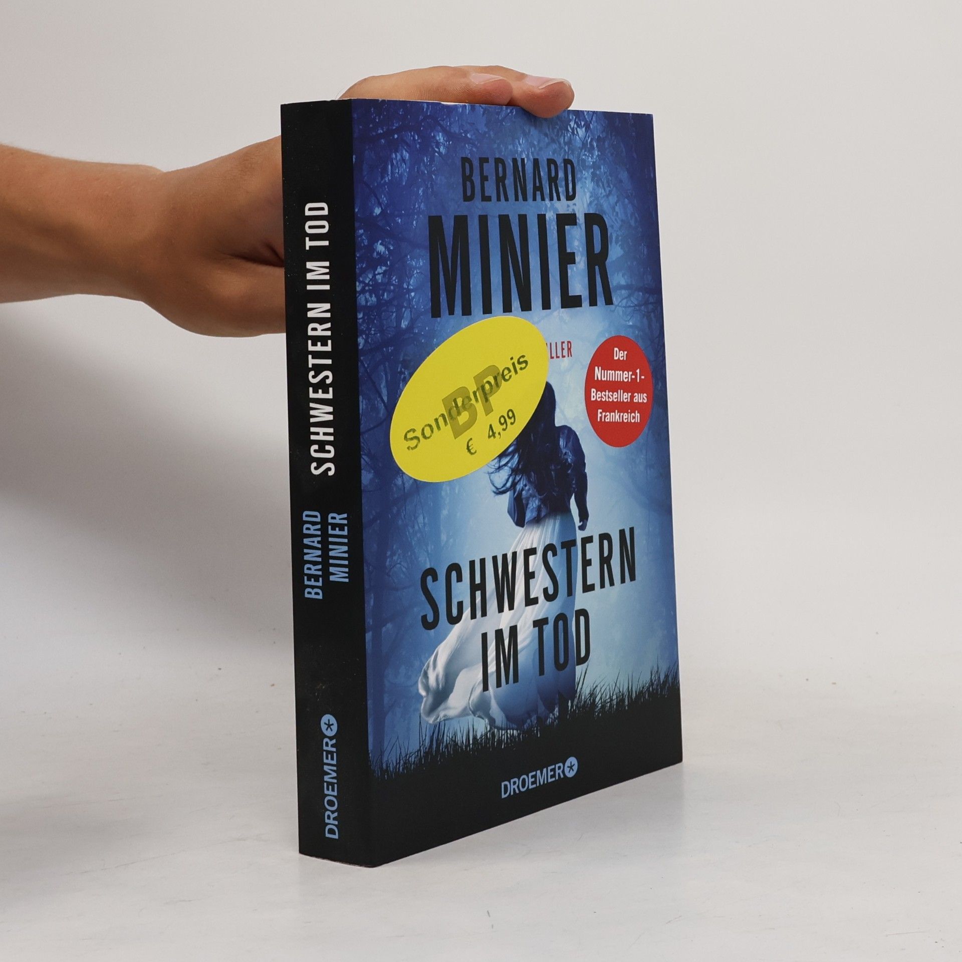Bernard Minier Schwestern im Tod