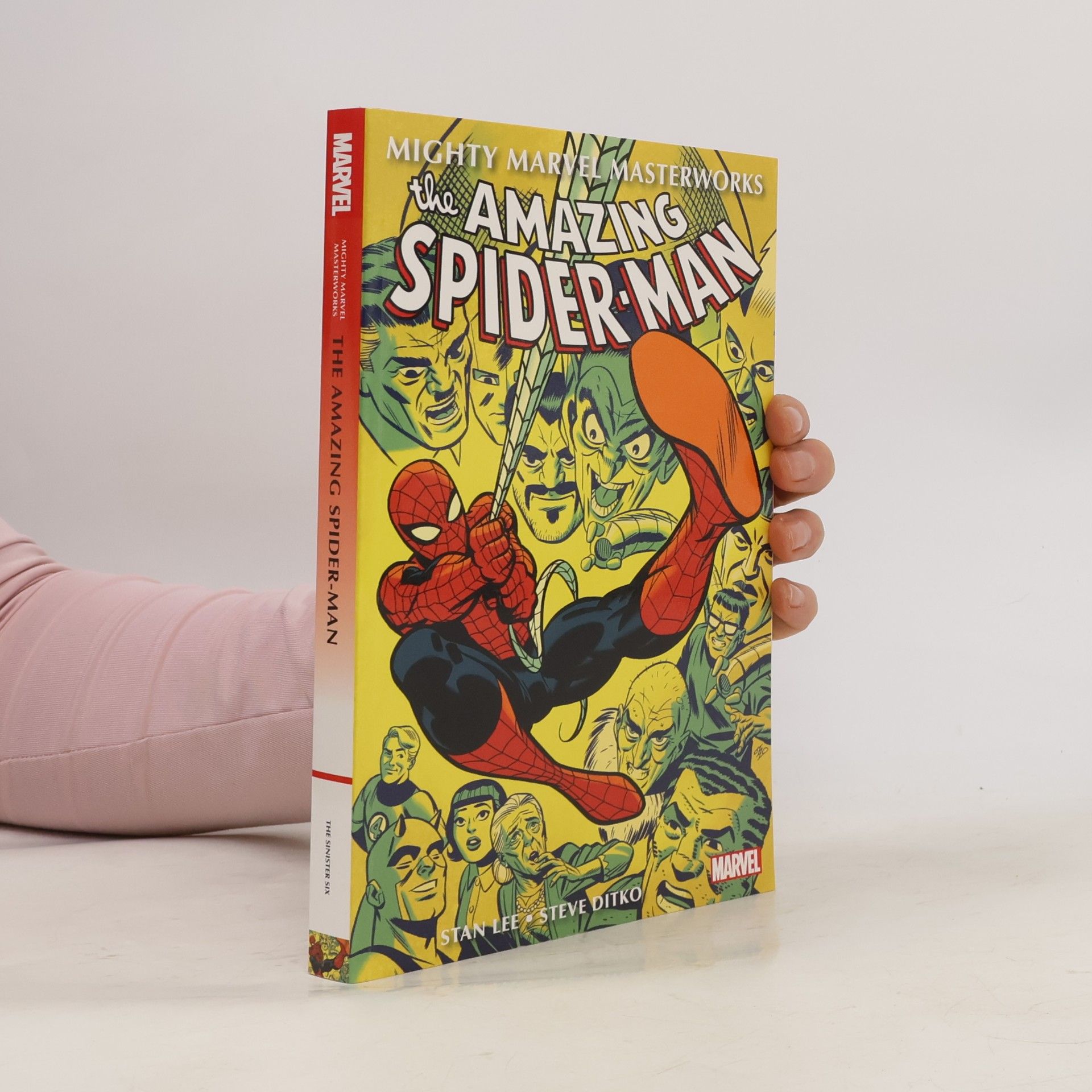 Steve Ditko Mighty Marvel Masterworks: The Amazing Spider-Man Vol. 2