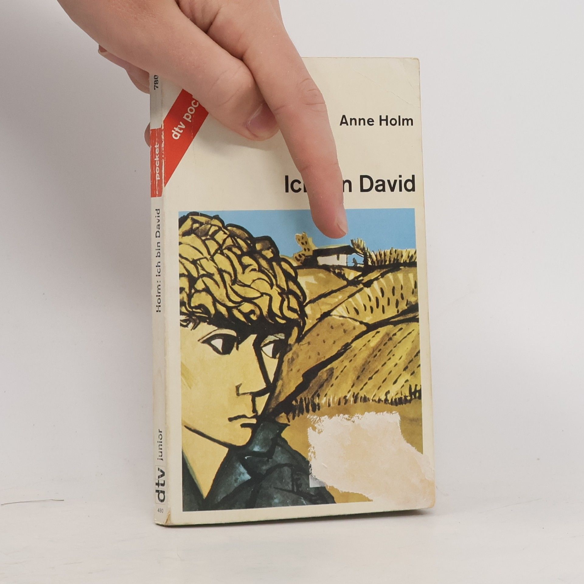 Anne Holm Ich bin David
