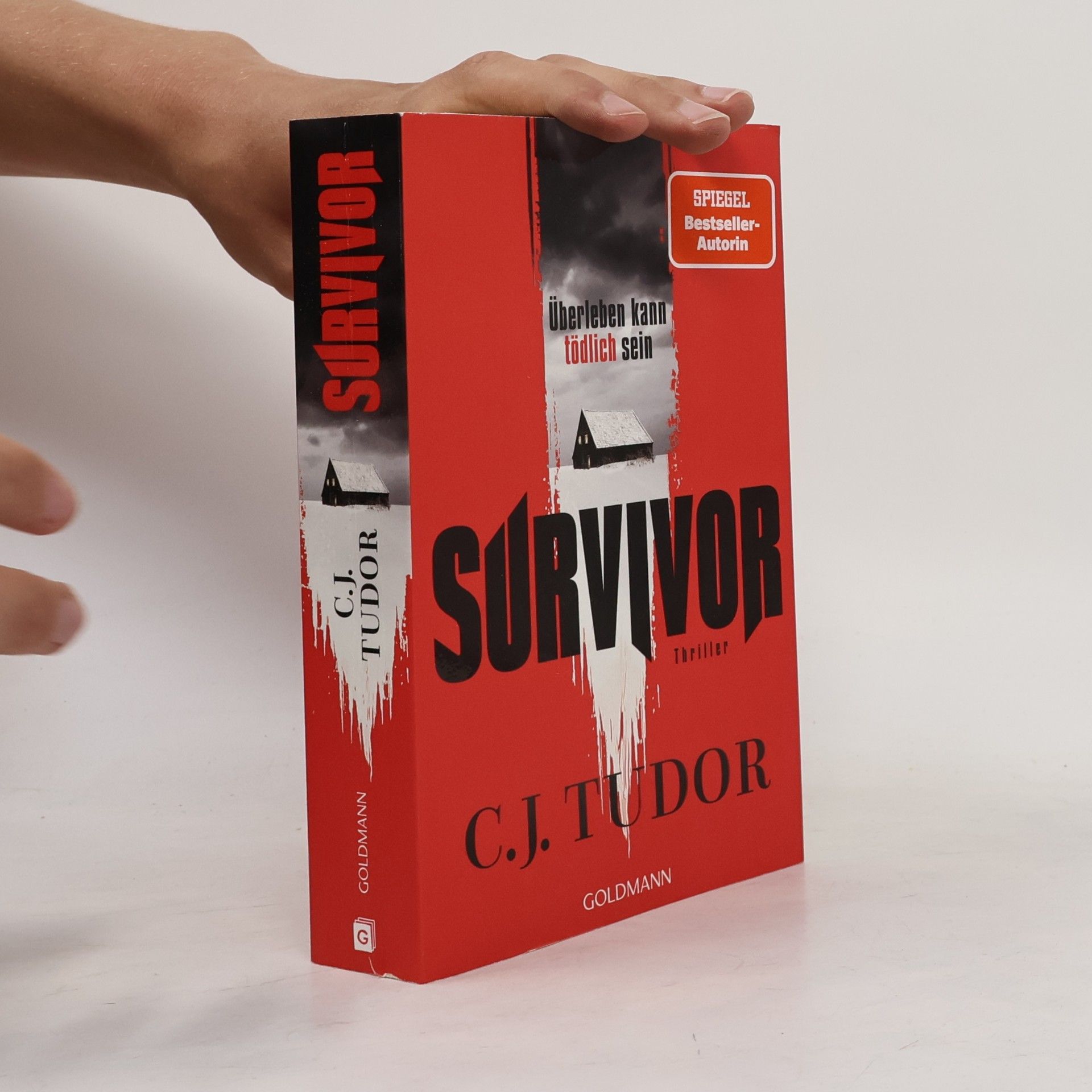 C.J. Tudor Survivor