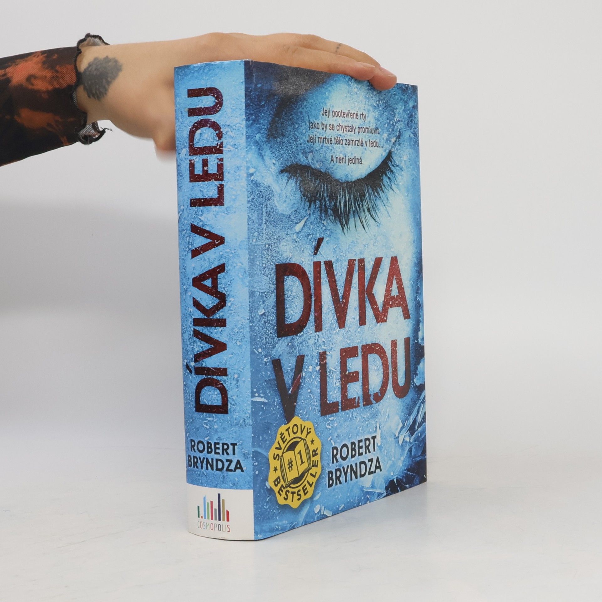 Robert Bryndza Dívka v ledu