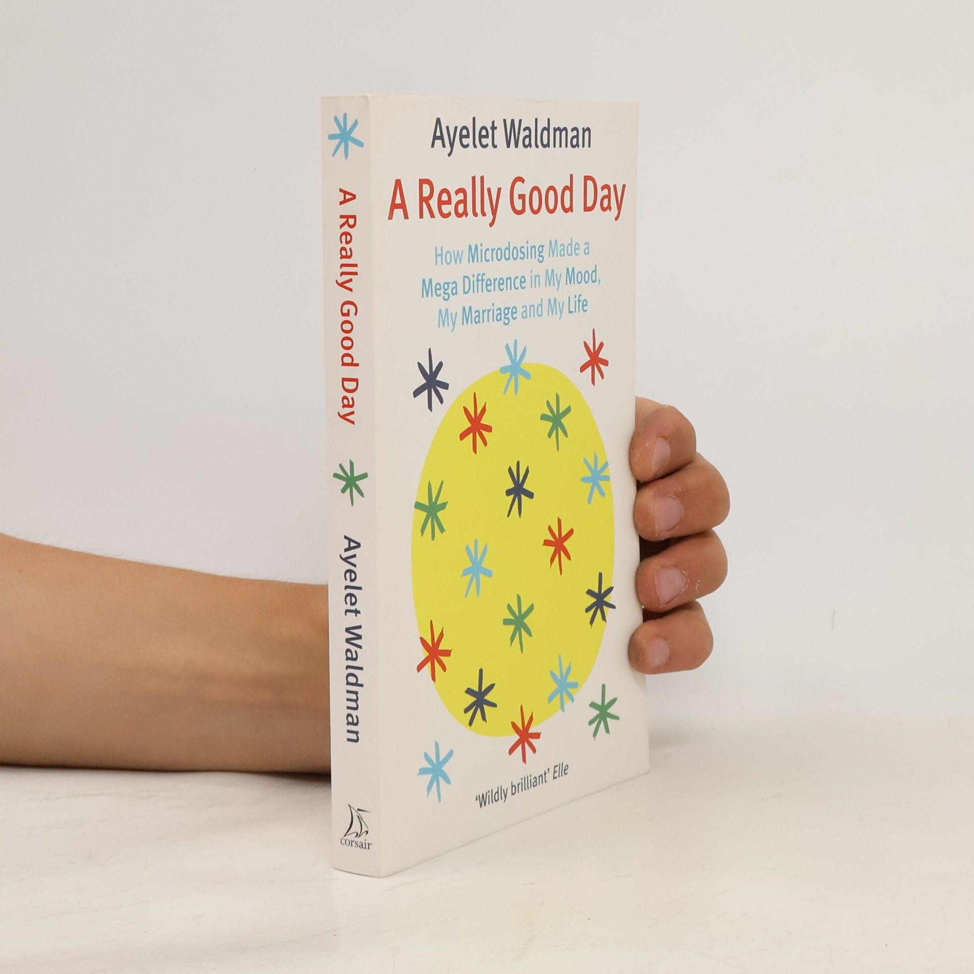 Ayelet Waldman A Really Good Day