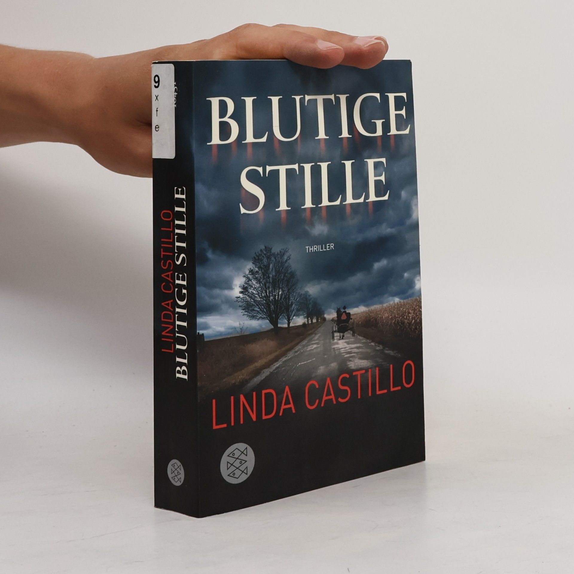 Linda Castillo Blutige Stille