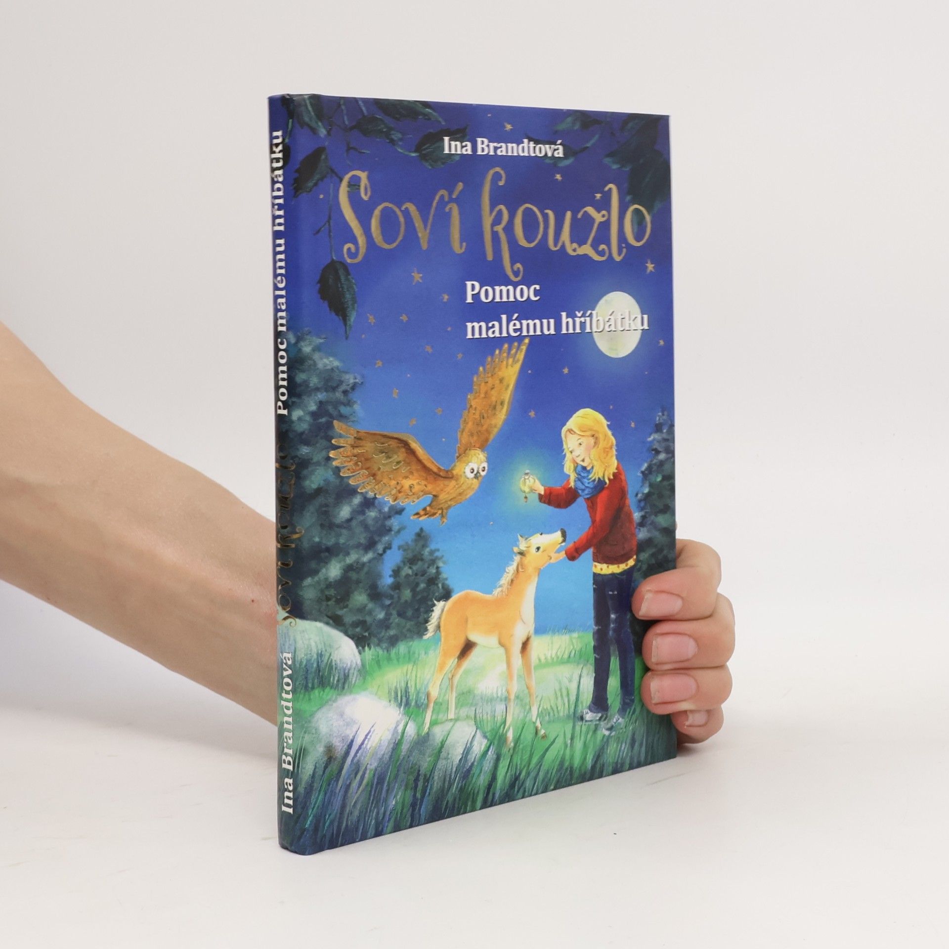 Irene Mohr Soví kouzlo. Pomoc malému hříbátku