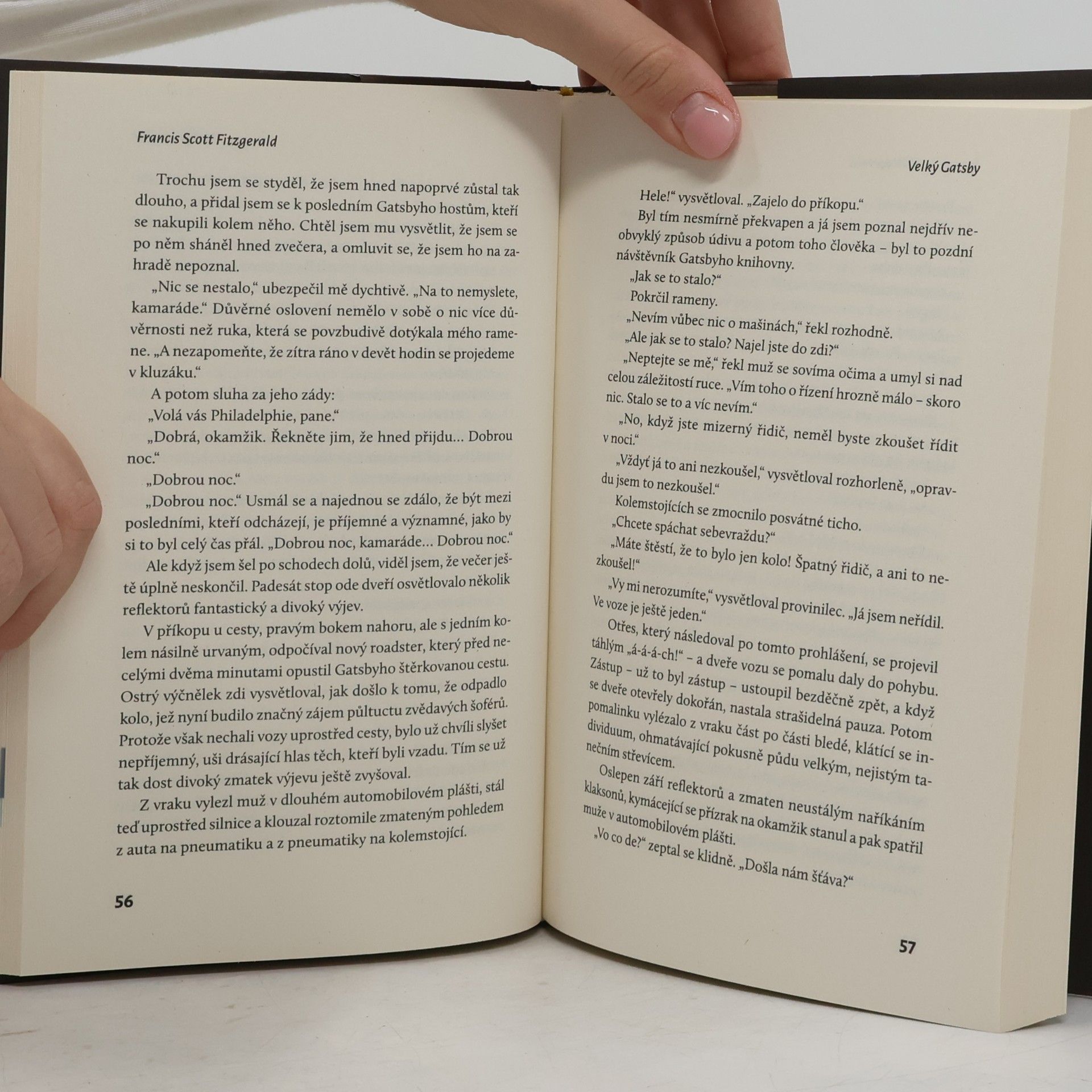 Francis Scott Fitzgerald Velký Gatsby