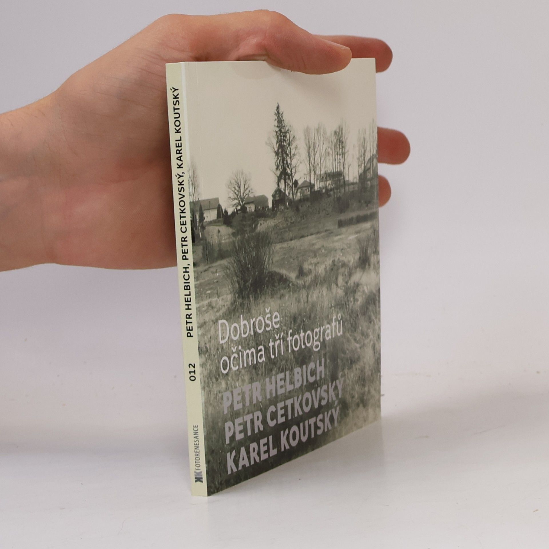 Collectif d'auteurs Petr Helbich, Petr Cetkovský, Karel Koutský