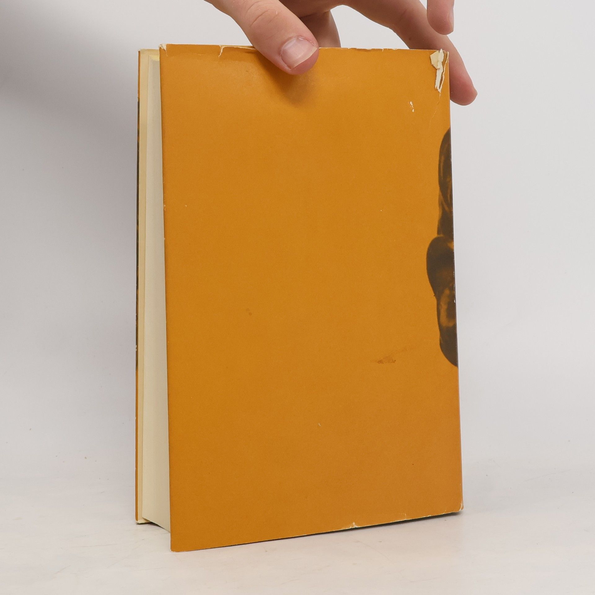 Irving Stone Michelangelo: Inferno und Ekstase