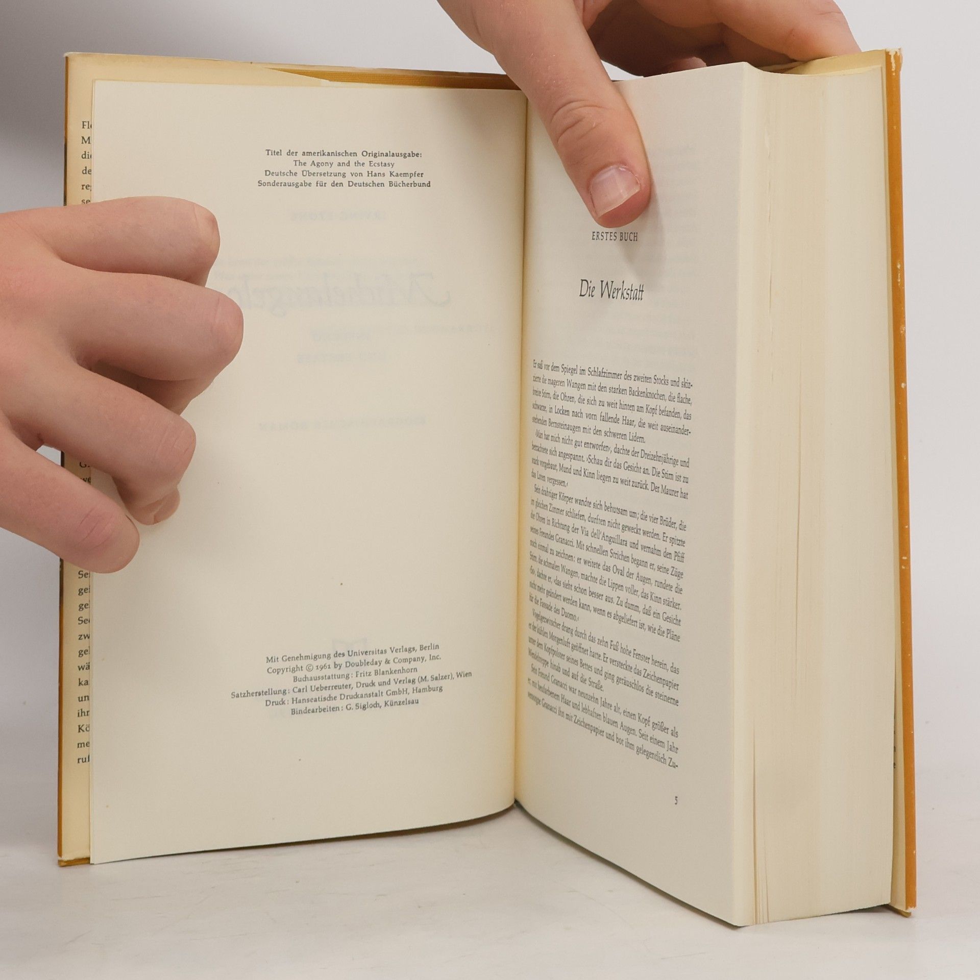 Irving Stone Michelangelo: Inferno und Ekstase