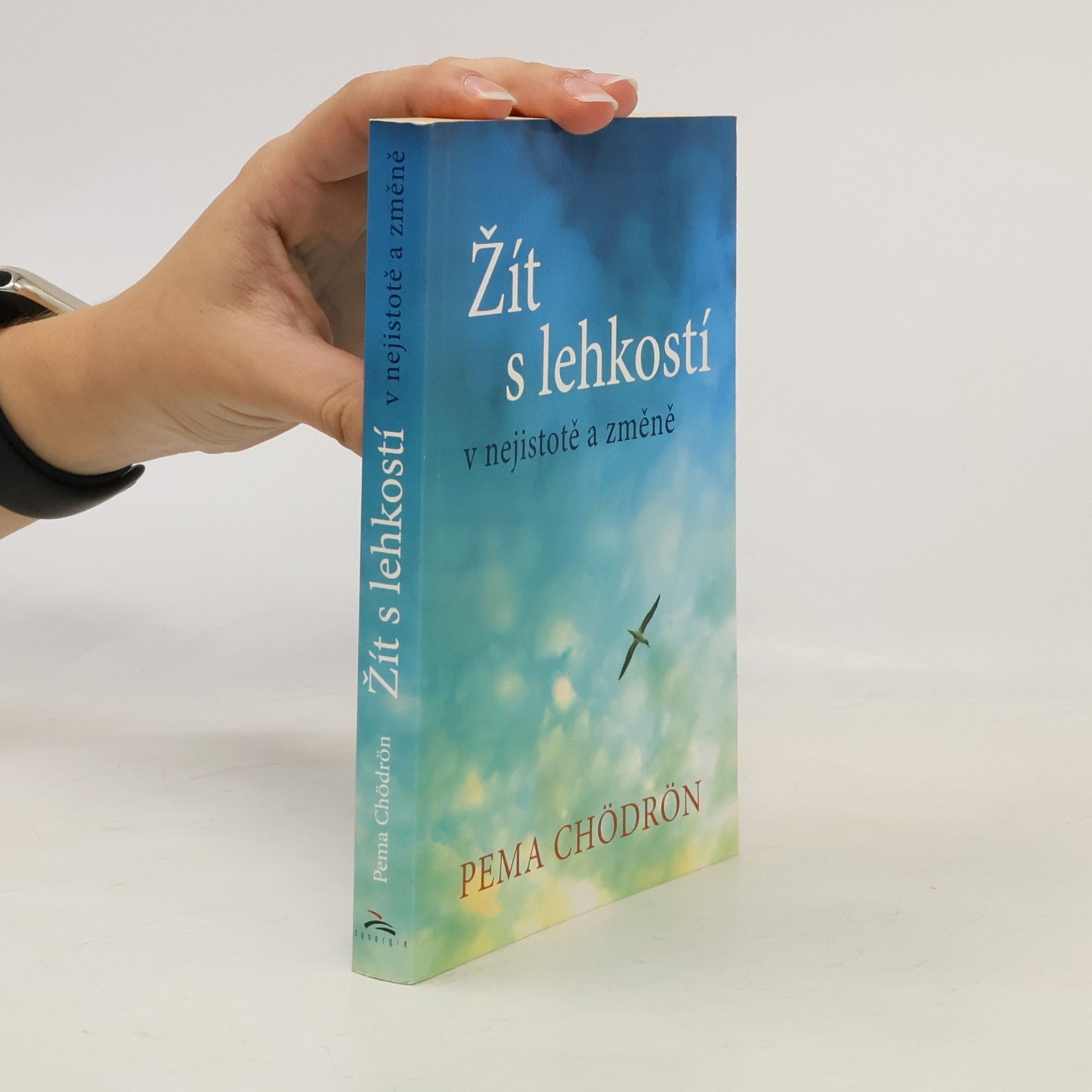 Pema Chödrön Žít s lehkostí