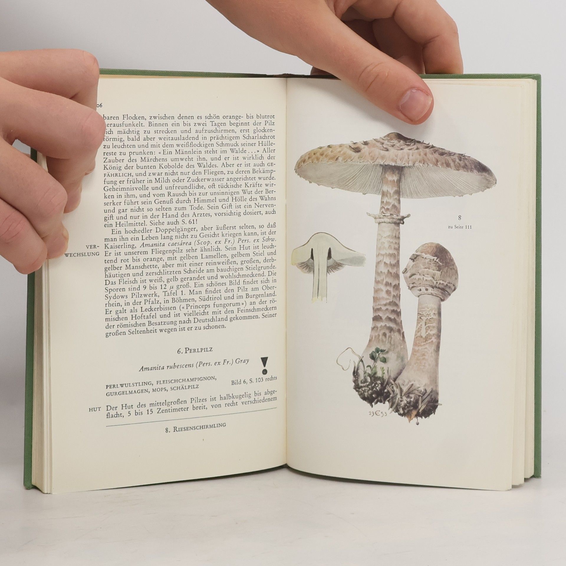 Kolektív autorov Knaurs Pilzbuch