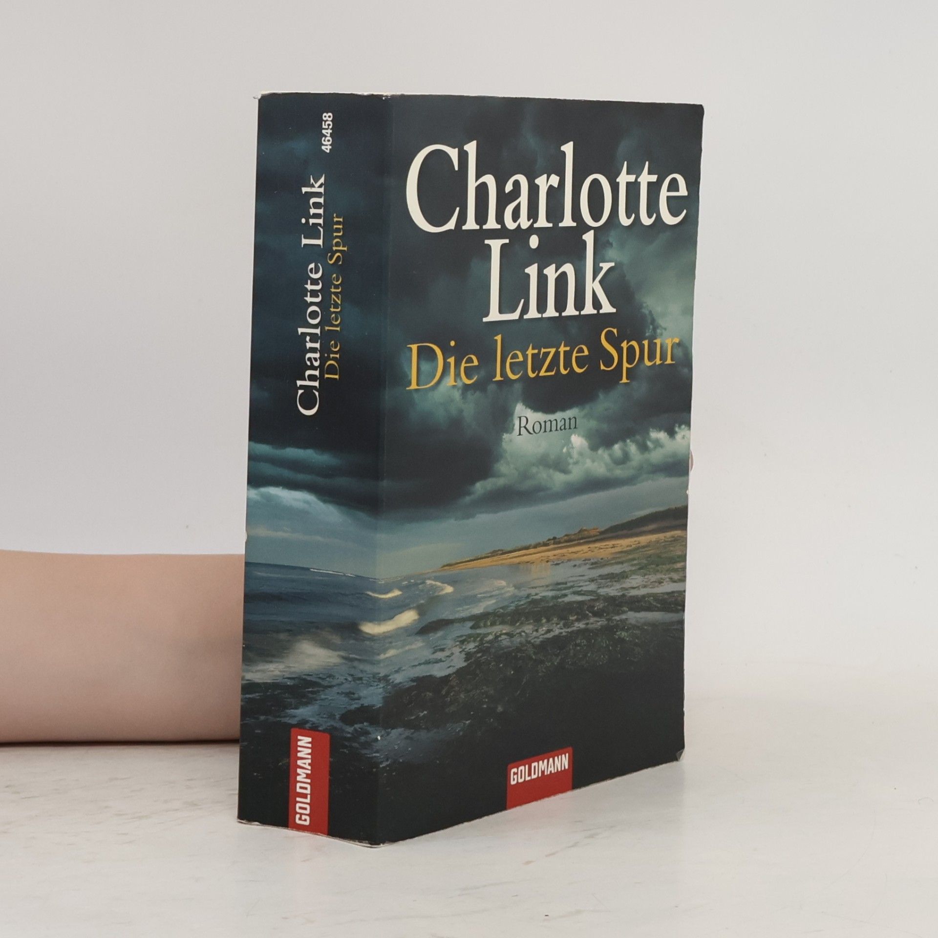 Charlotte Link Die letzte Spur