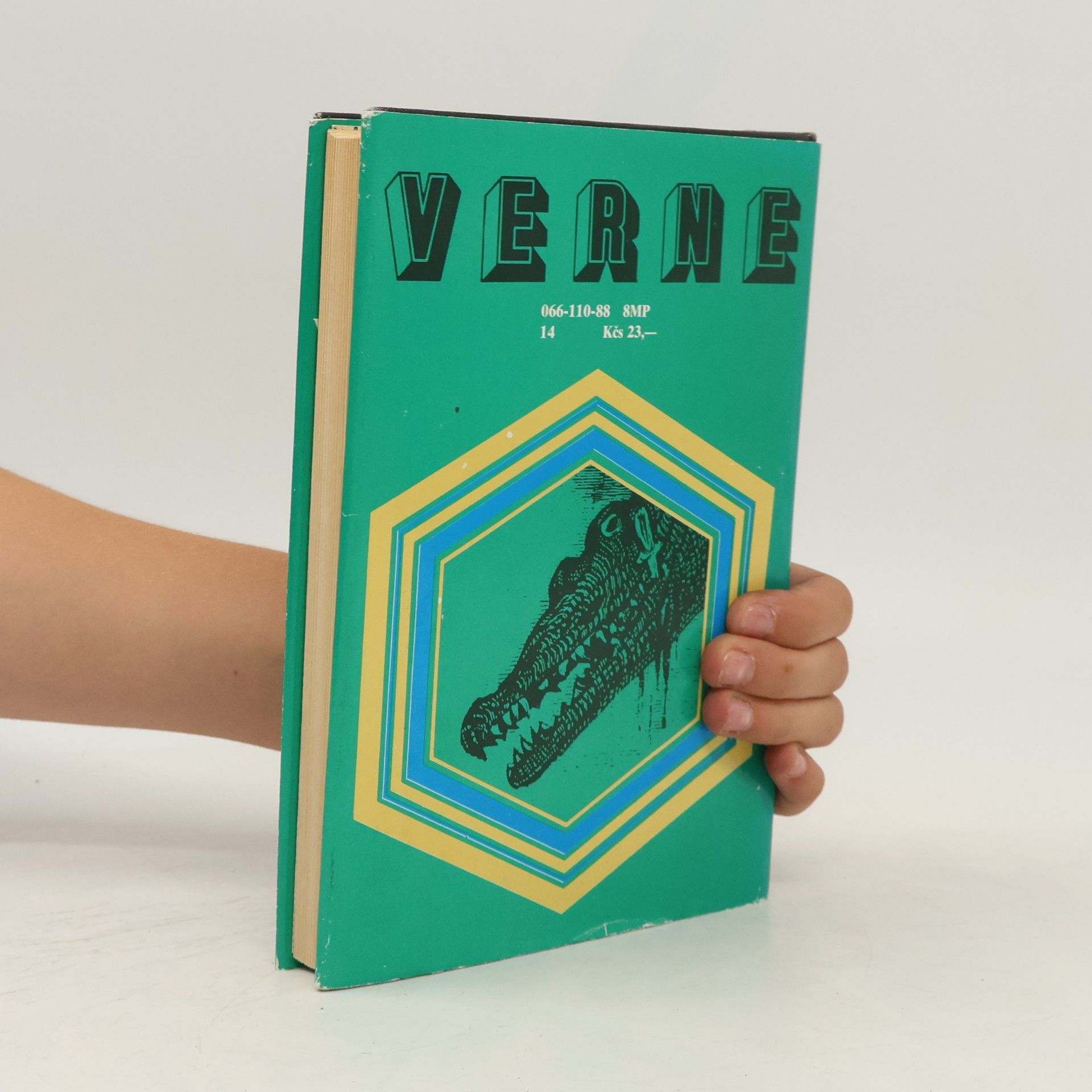 Jules Verne 800 míľ po Amazone