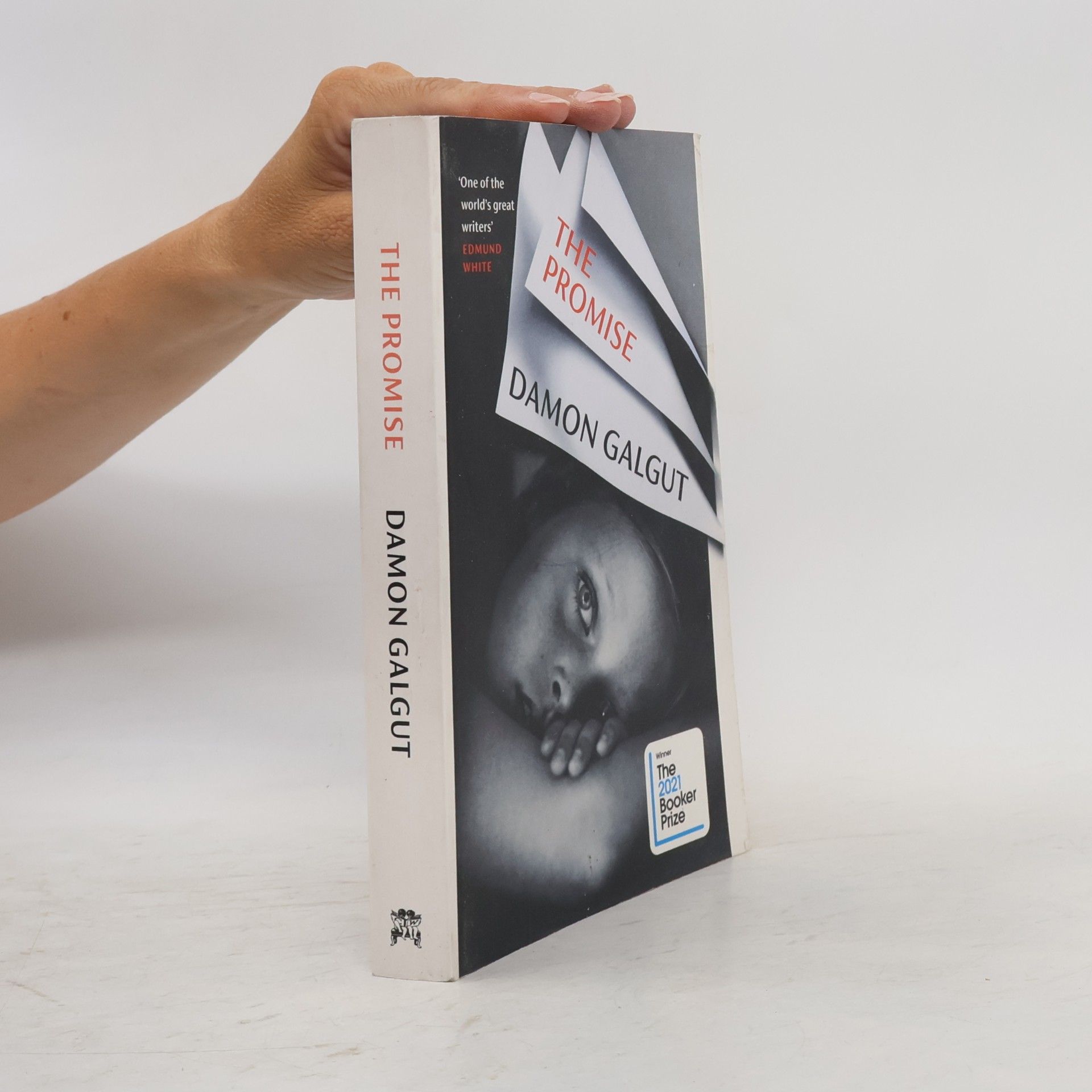 Damon Galgut The Promise