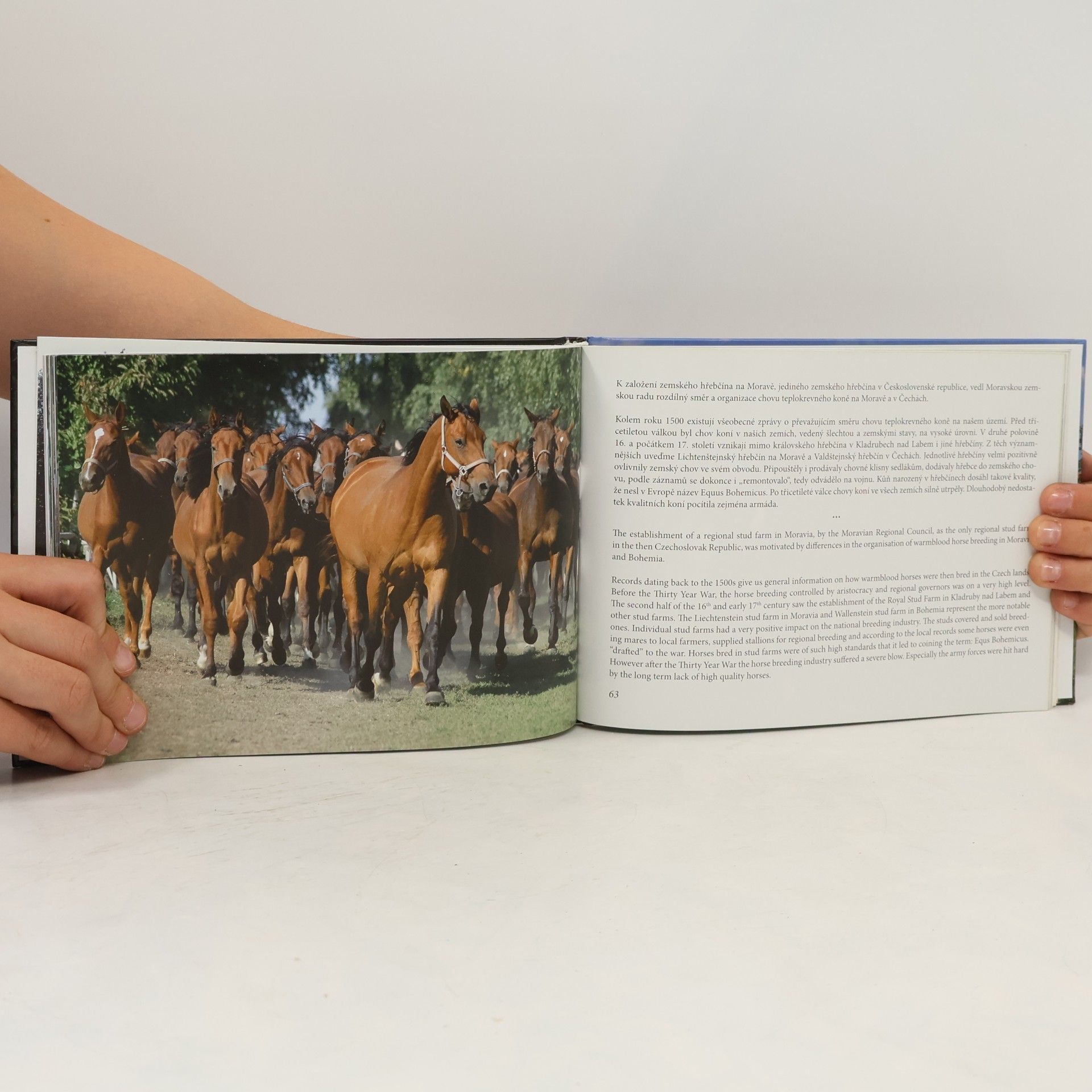 Various authors Zemský hřebčinec Tlumačov = Regional Stud Farm Tlumačov