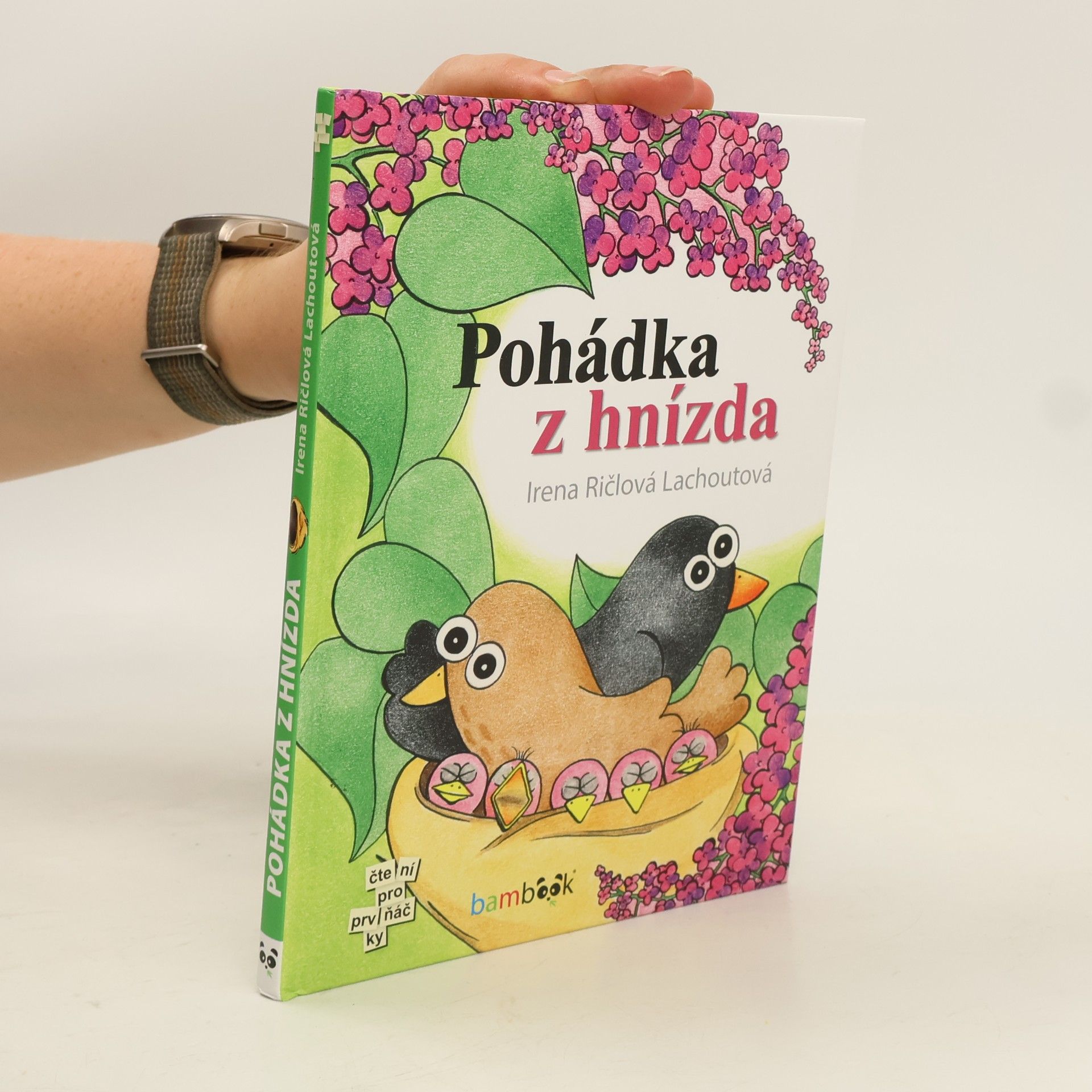 Irena Lachoutová Pohádka z hnízda