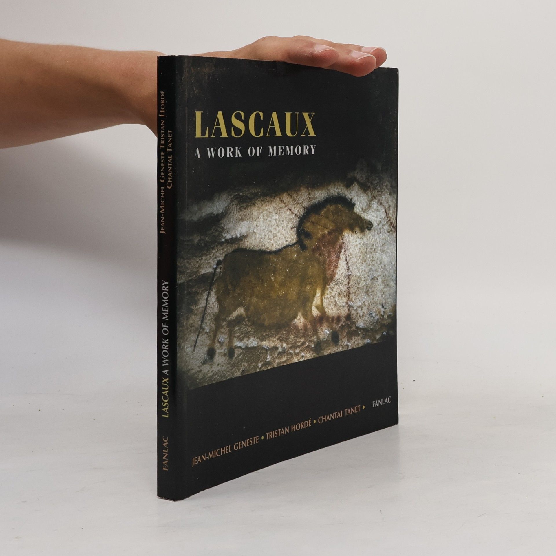 Lascaux A Work of Memory