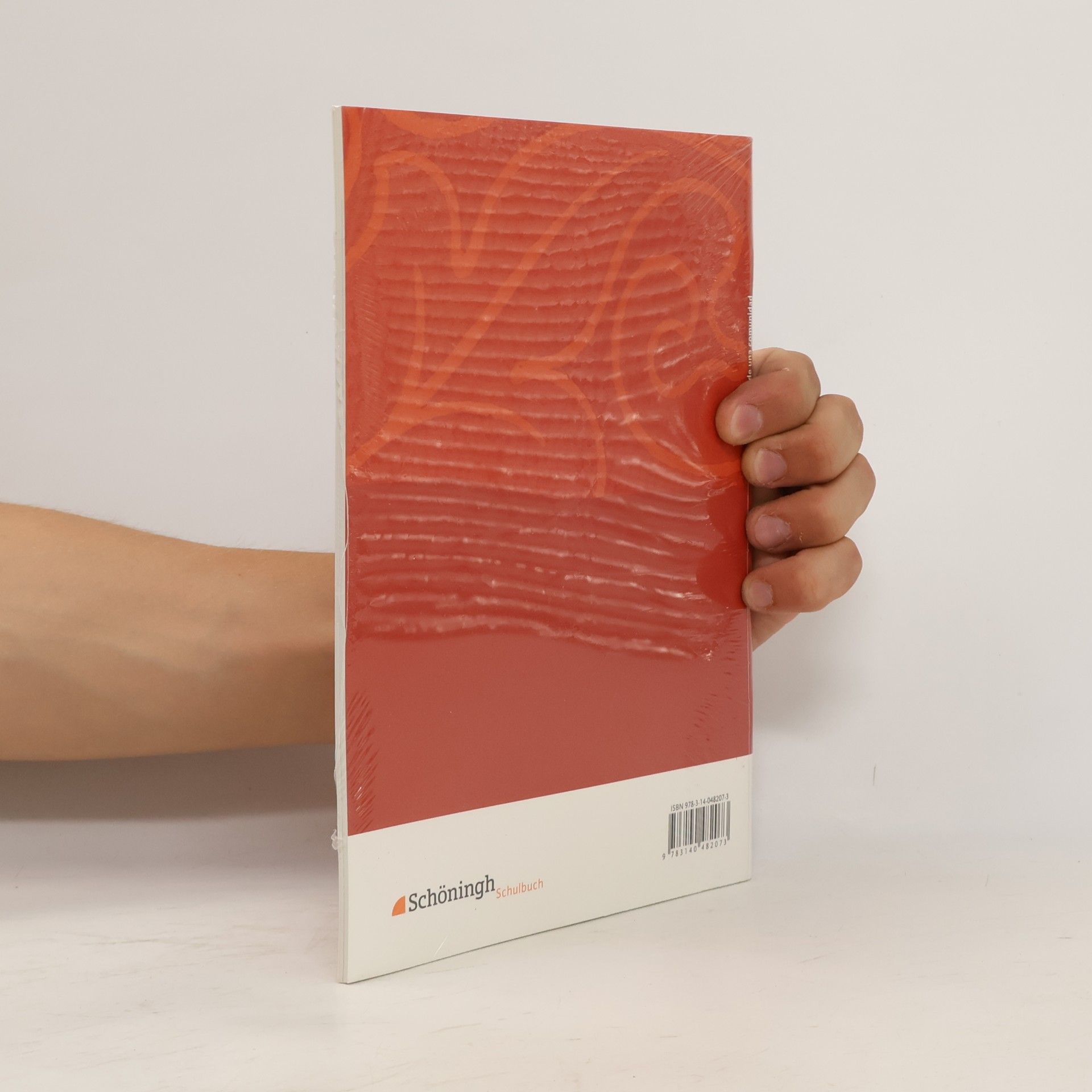 Hella Klink EinFach Spanisch Textausgaben: Andalucía: facetas de una comunidad: Textausgabe