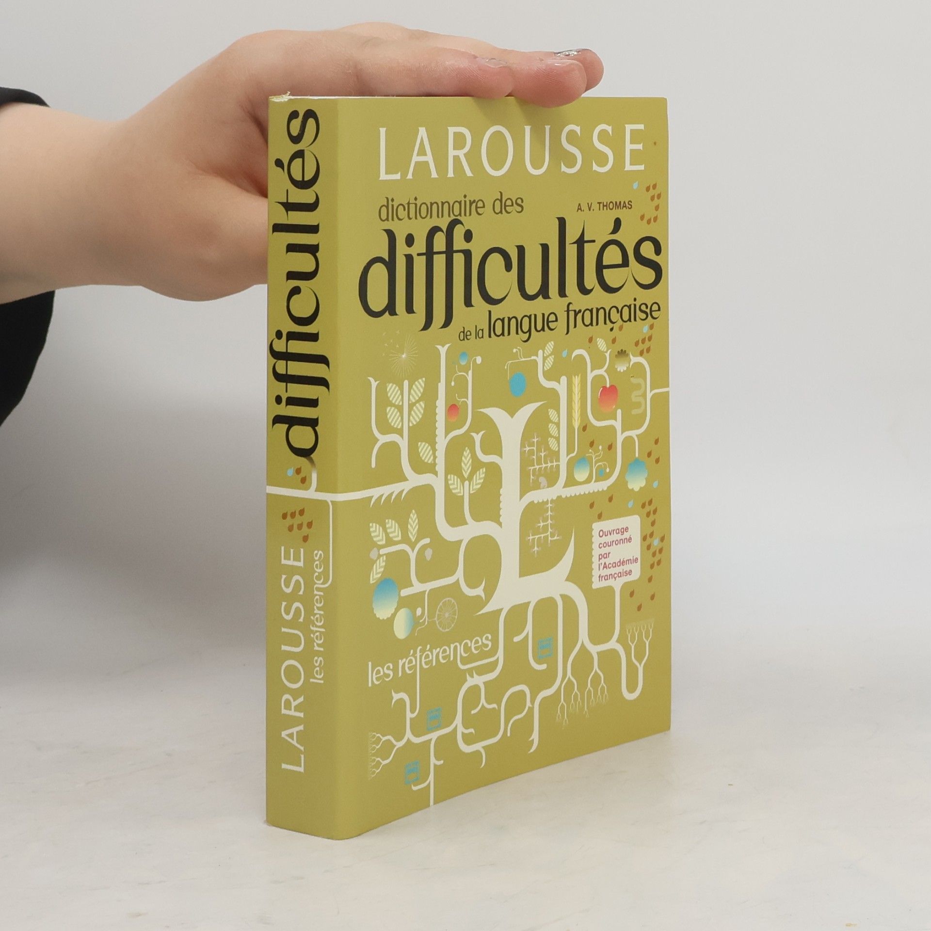 Dictionnaire des difficultés de la langue française