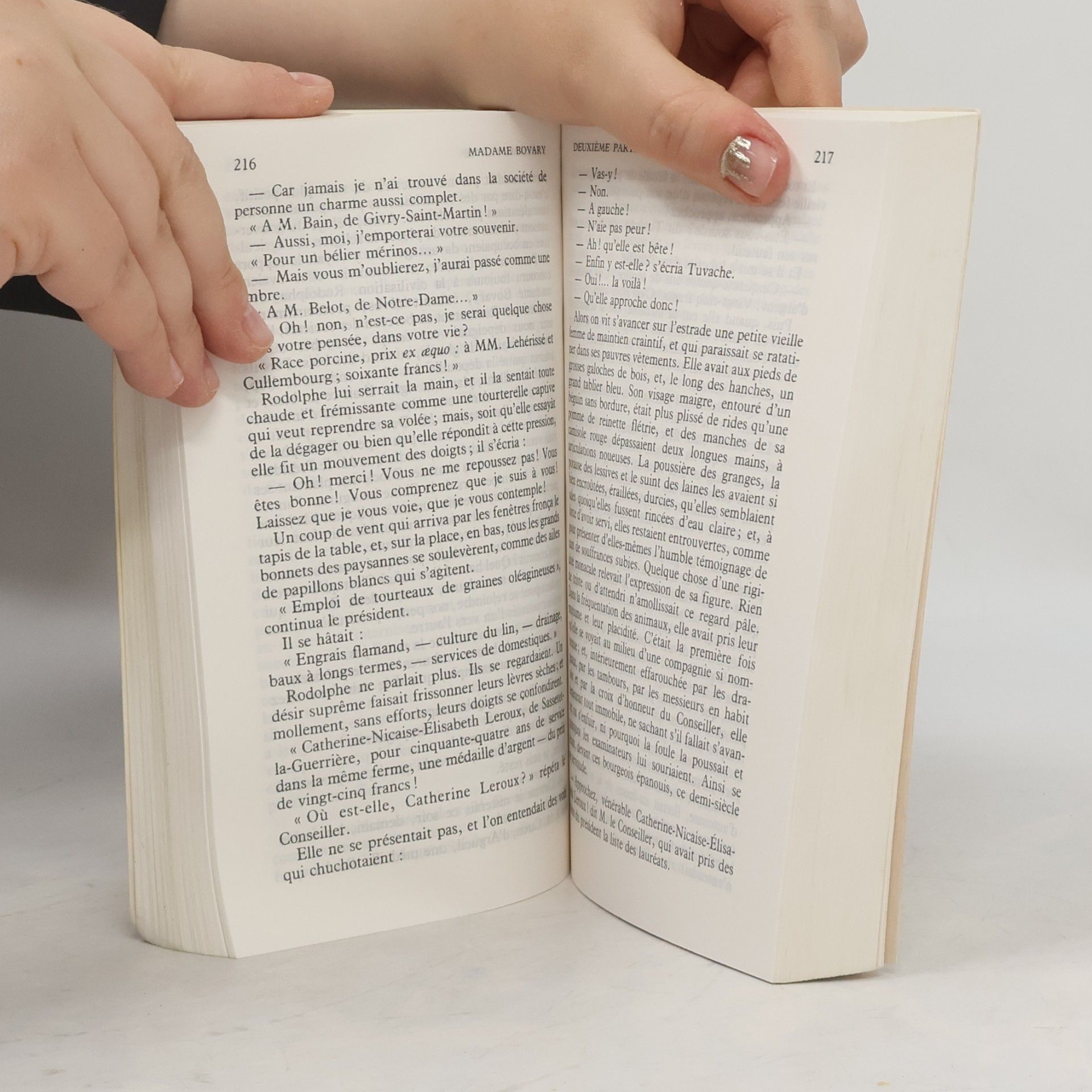 Gustave Flaubert Madame Bovary