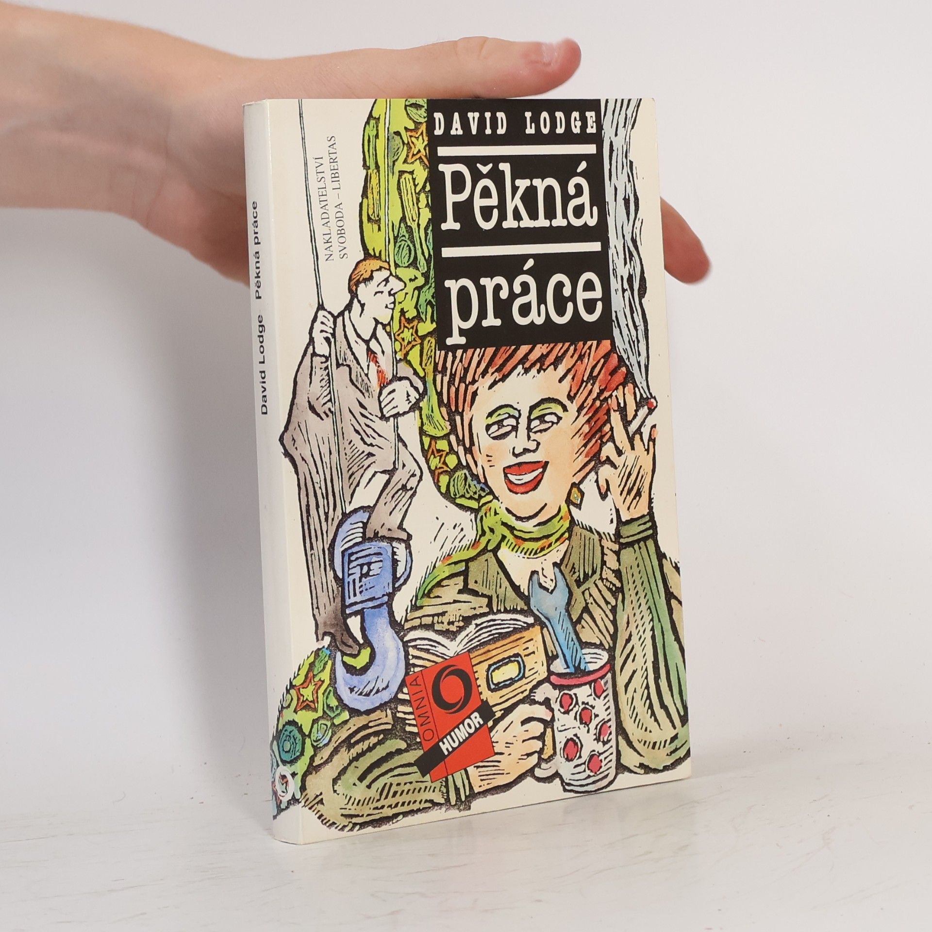 David Lodge Pěkná práce