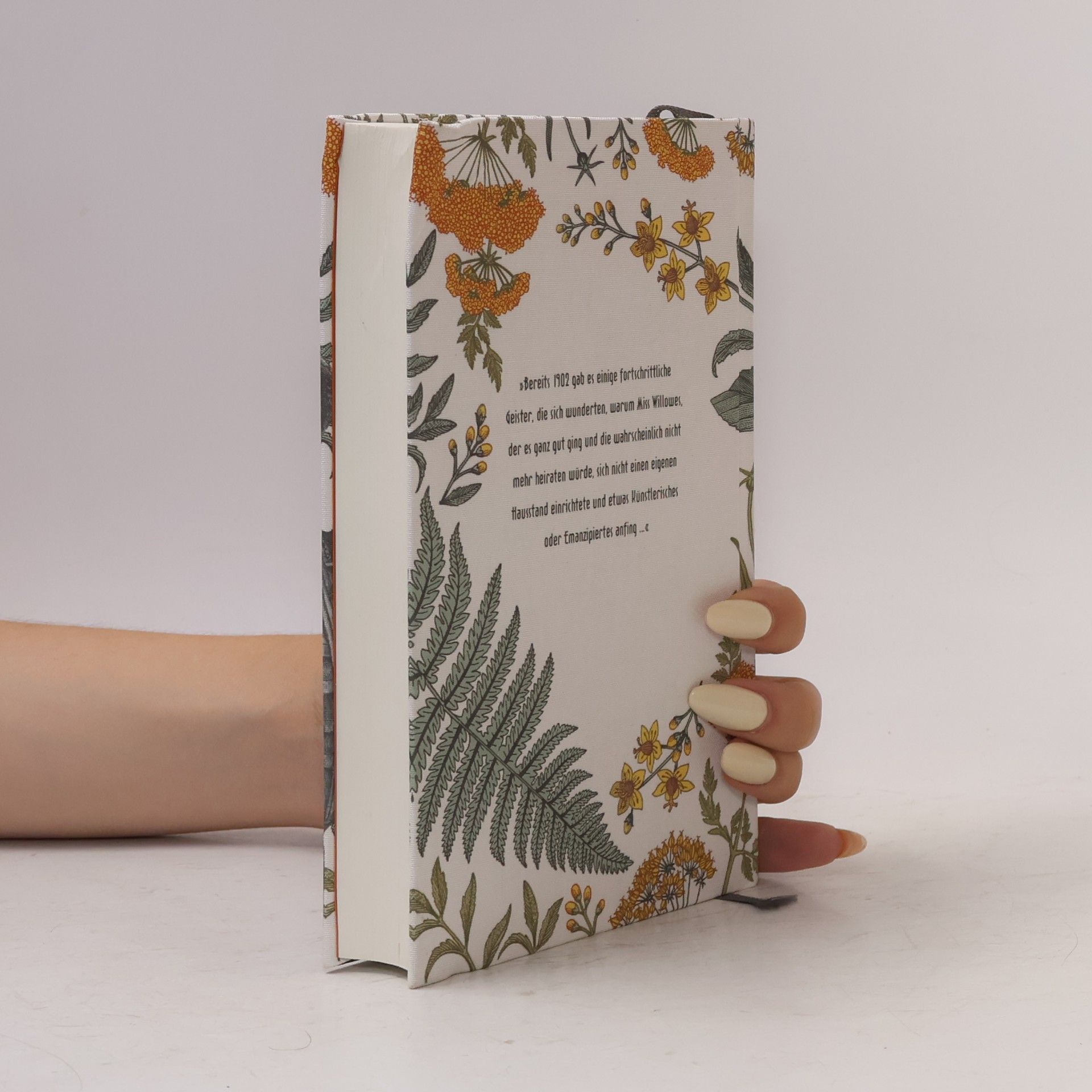 Sylvia Townsend Warner Lolly Willowes