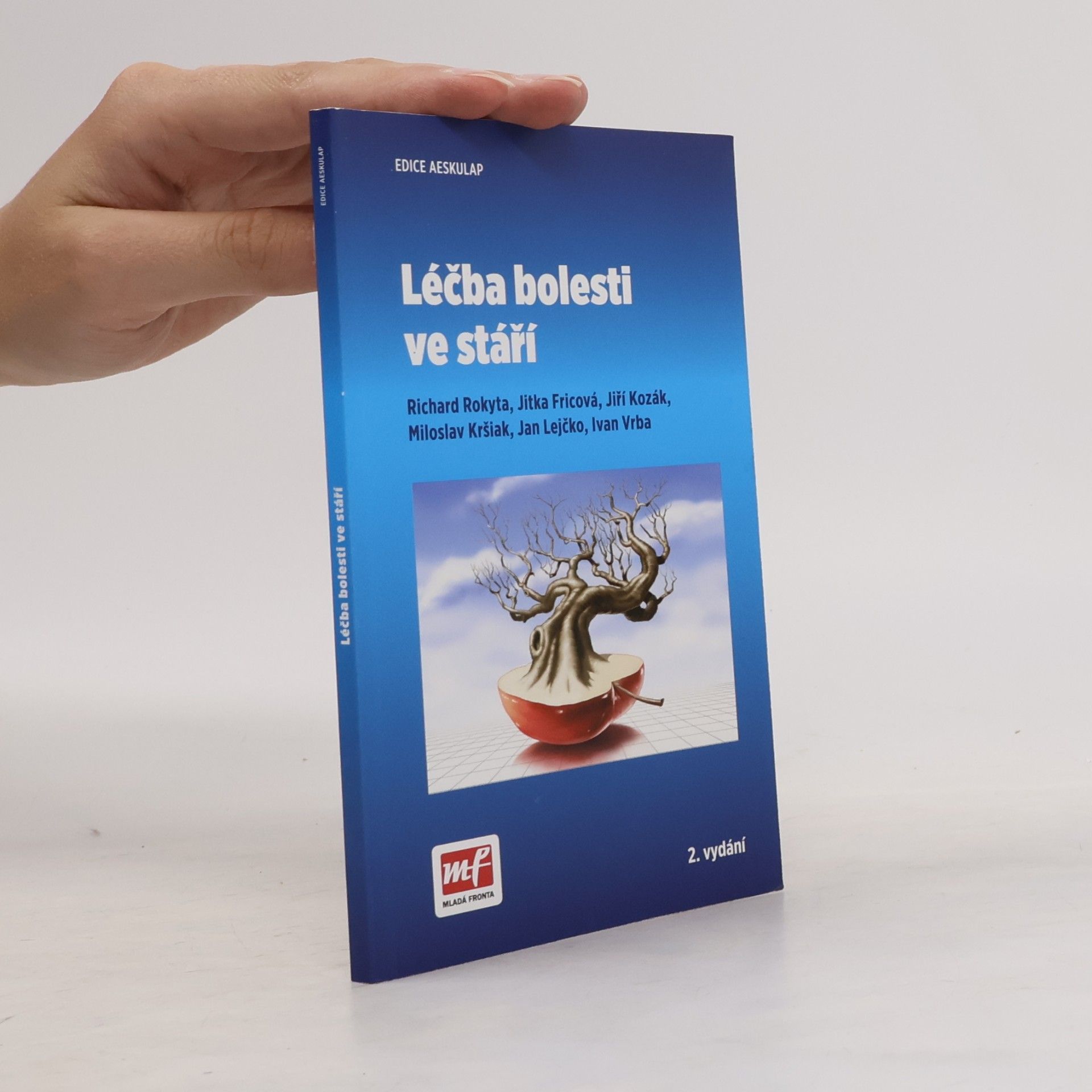 Kolektiv autorů Léčba bolesti ve stáří