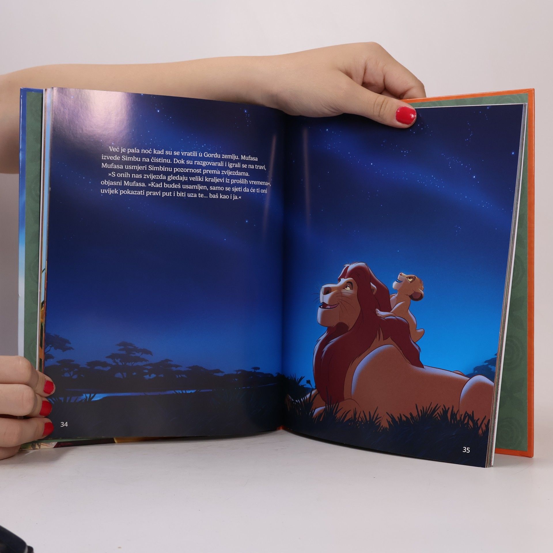 Disney Storybook Art Team Kralj Lavova
