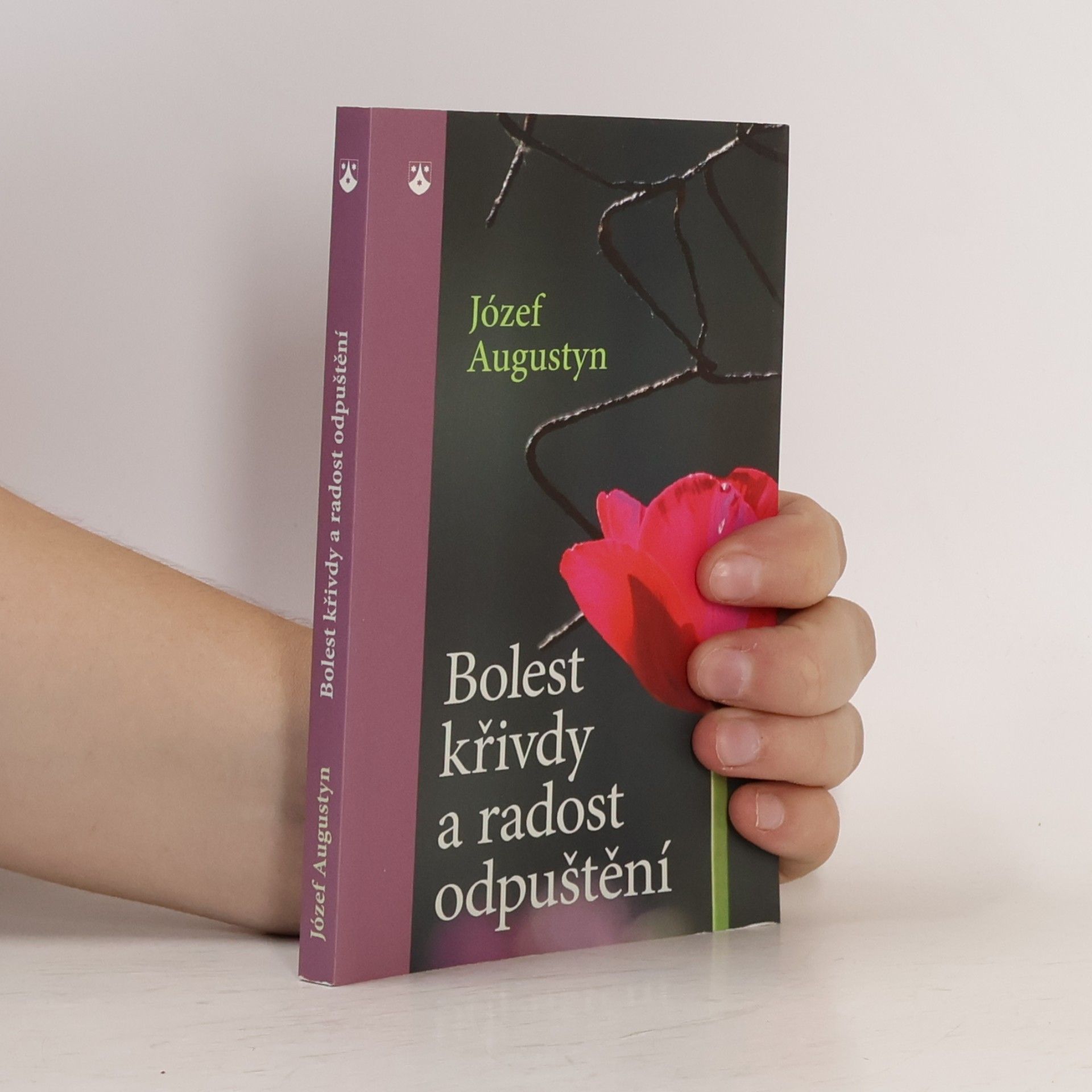 Józef Augustyn Bolest křivdy a radost odpuštění