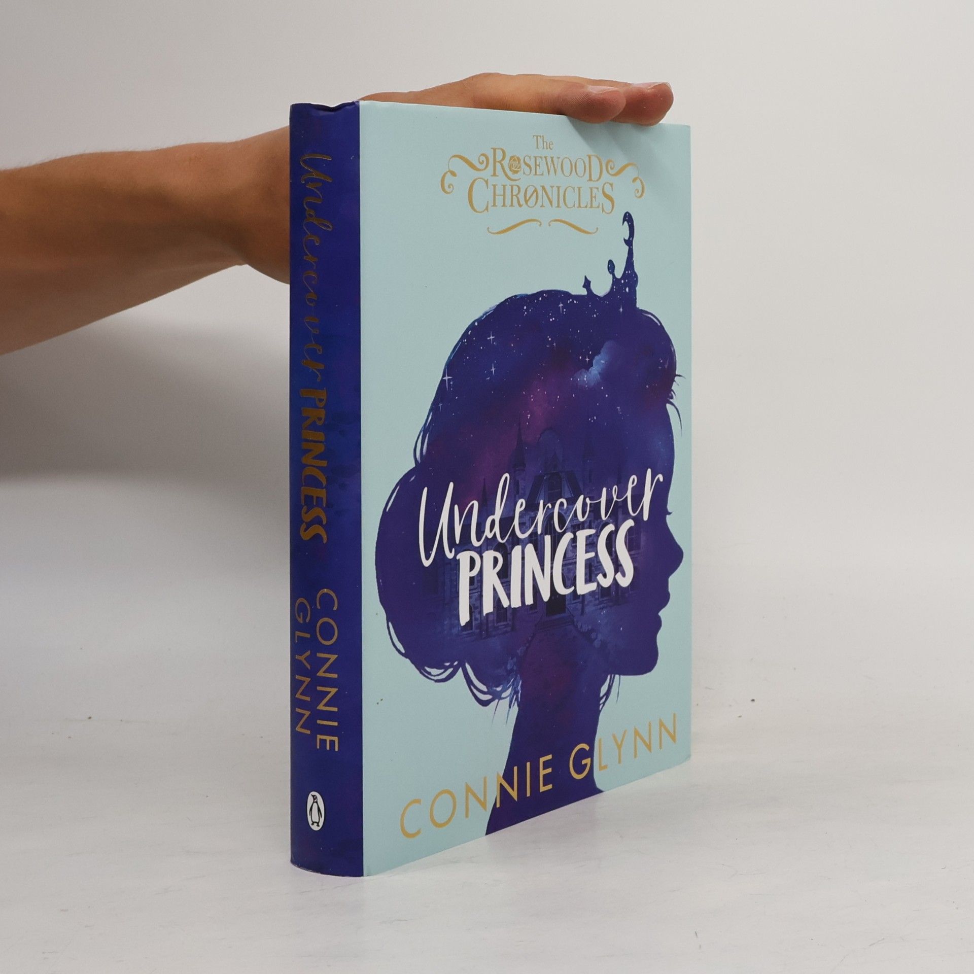 Connie Glynn Undercover Princess