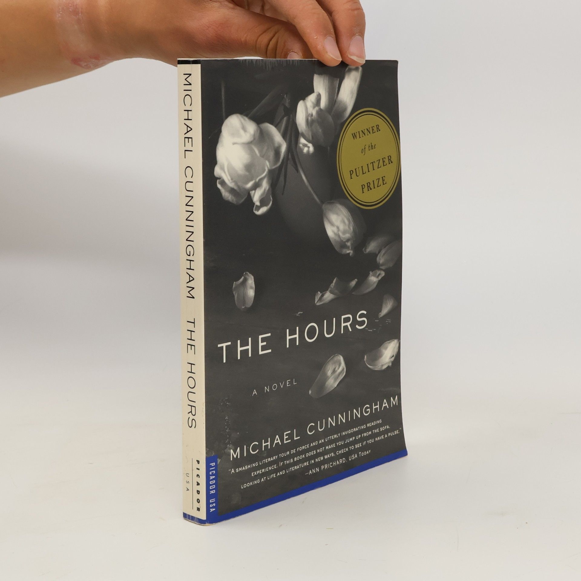 Michael Cunningham The hours