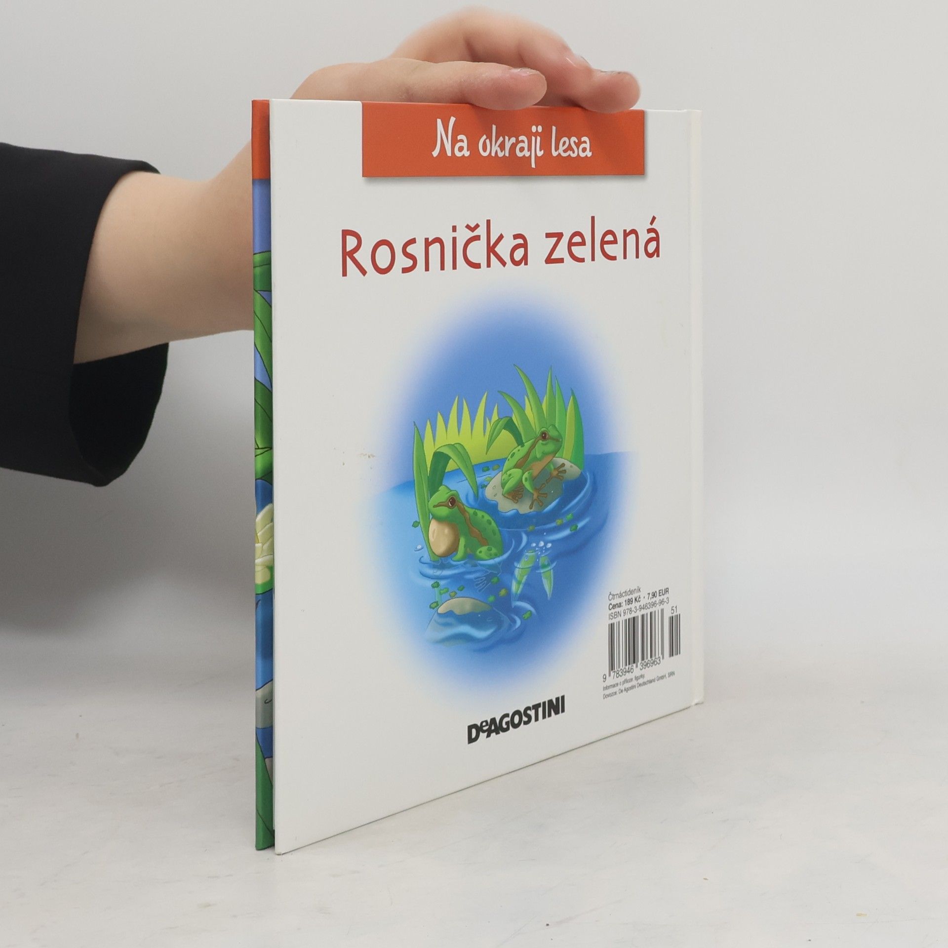 Autorenkollektiv Rosnička zelená. Na okraji lesa č. 35