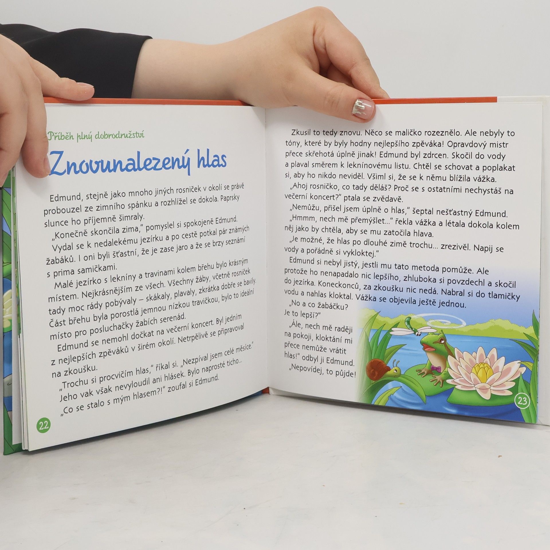 Autorenkollektiv Rosnička zelená. Na okraji lesa č. 35