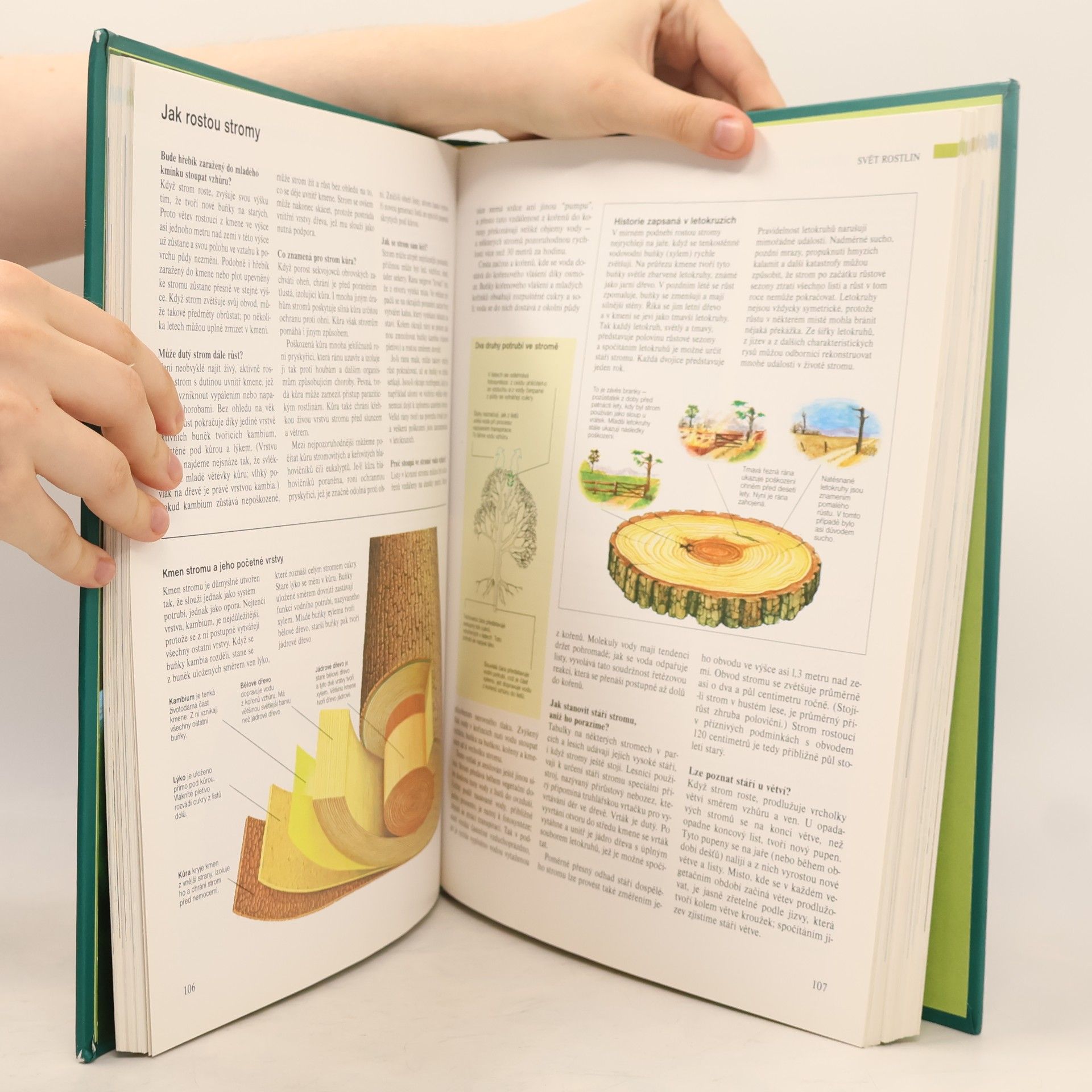 Autorenkollektiv ABC přírody. Svět v otázkách a odpovědích