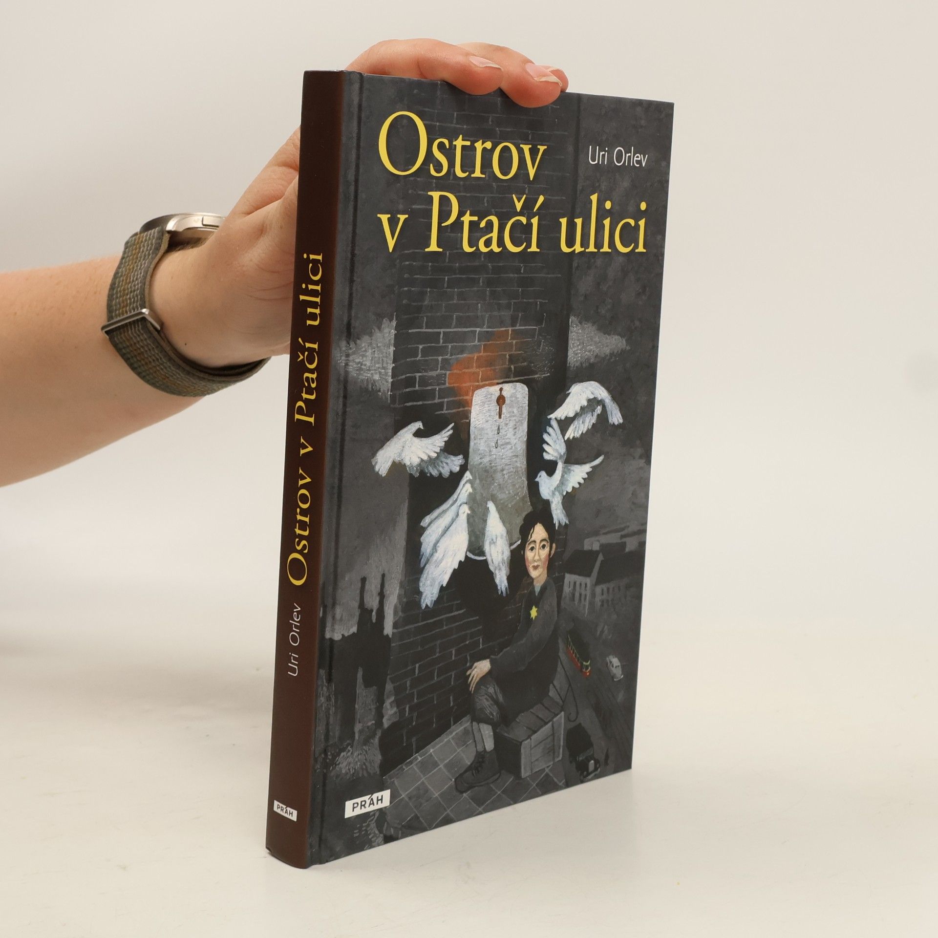 Uri Orlev Ostrov v Ptačí ulici
